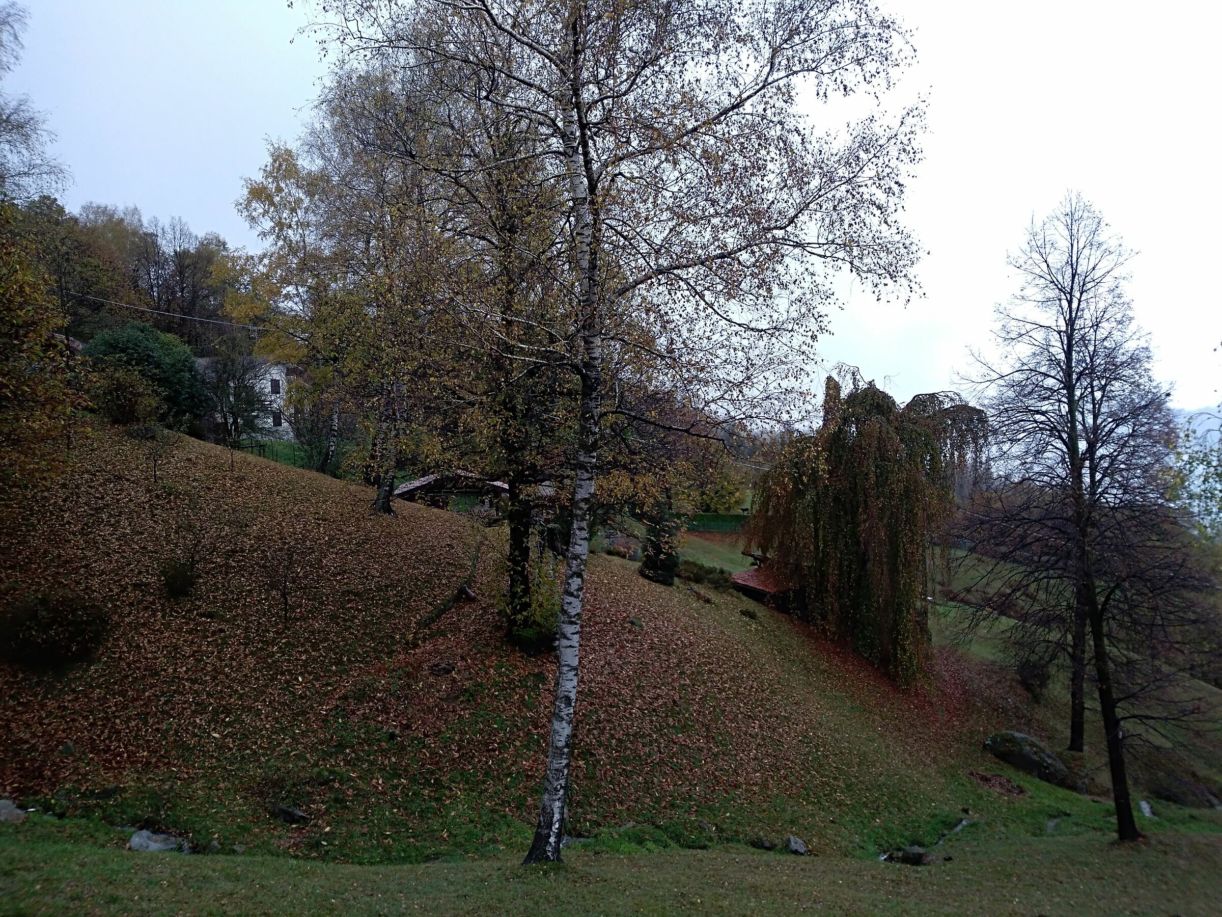 Civenna to M. San Primo