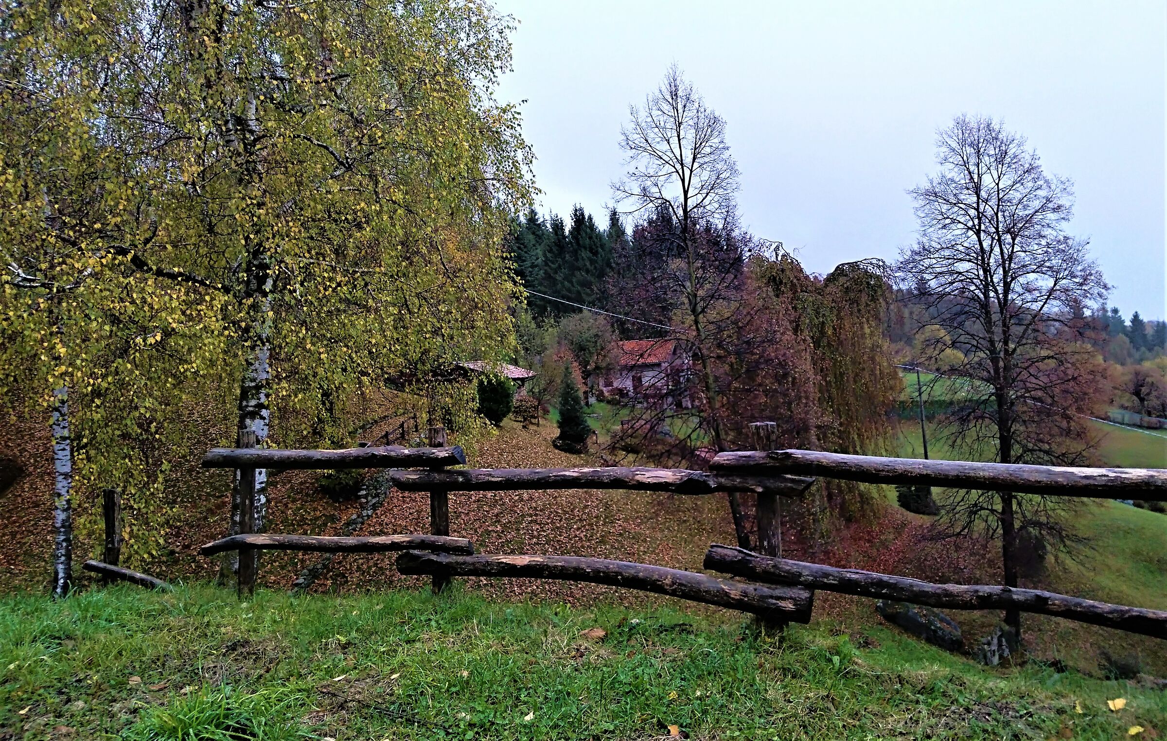 Civenna to M. San Primo