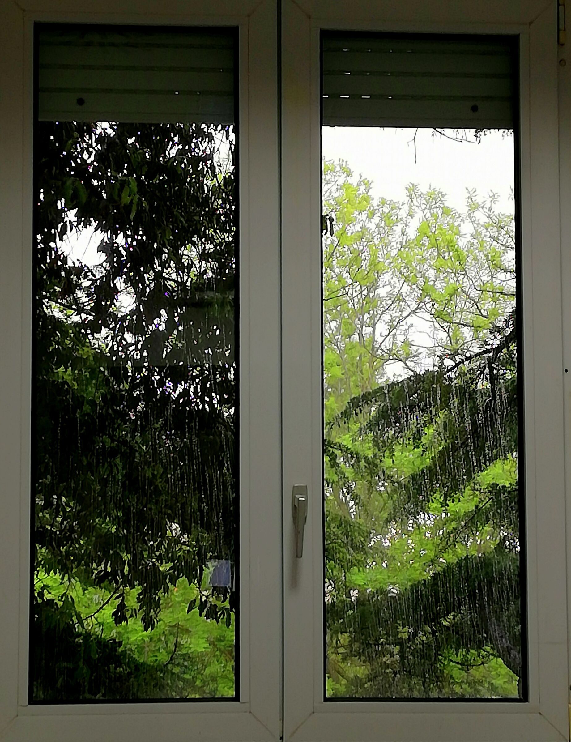 May's rain