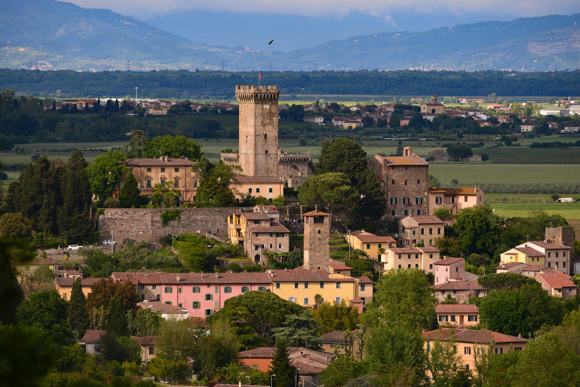 The Brunelleschi Rock