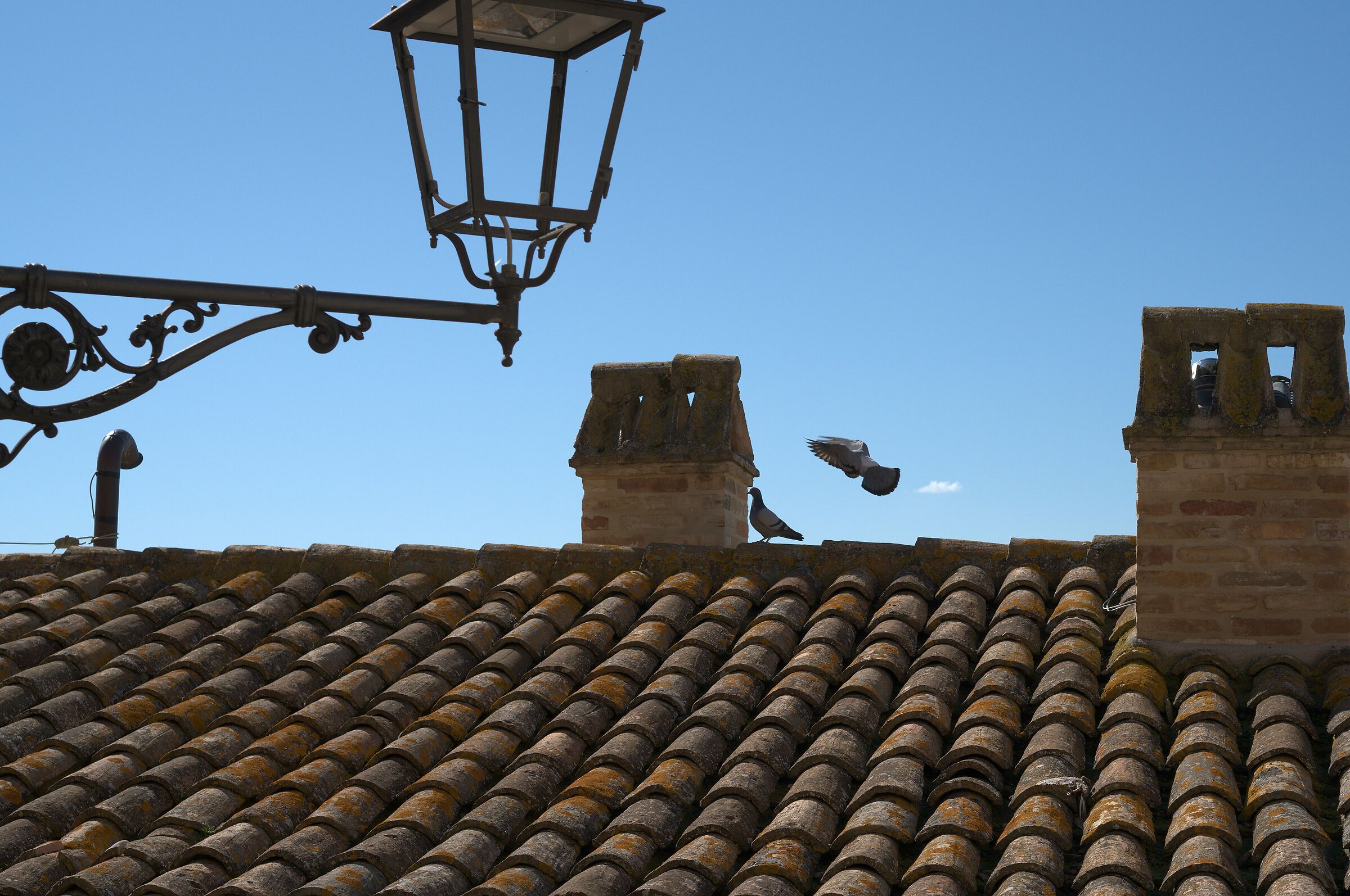 Acquaviva Picena .... tra i tetti