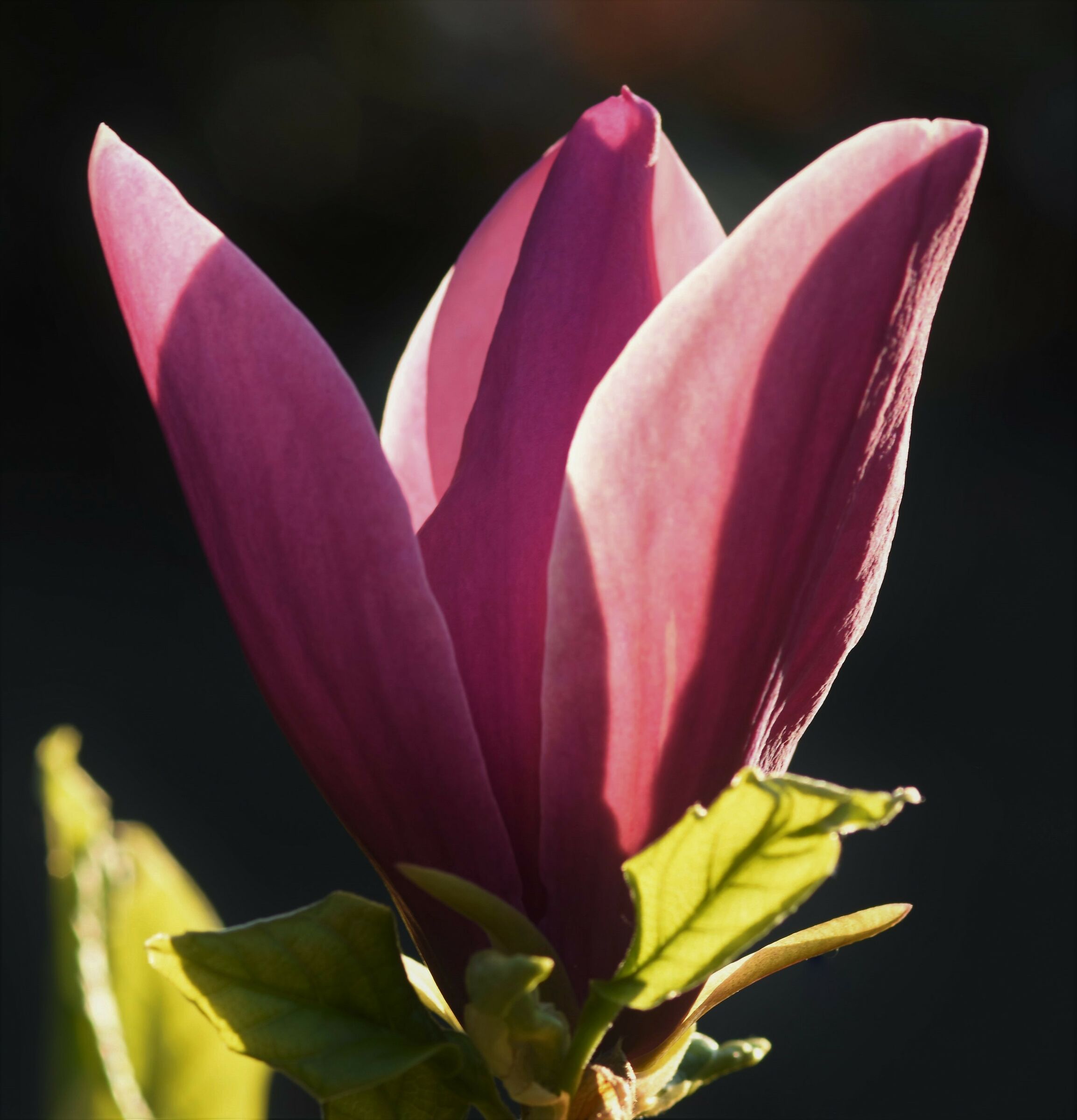 Come back some of the hece we're reopening