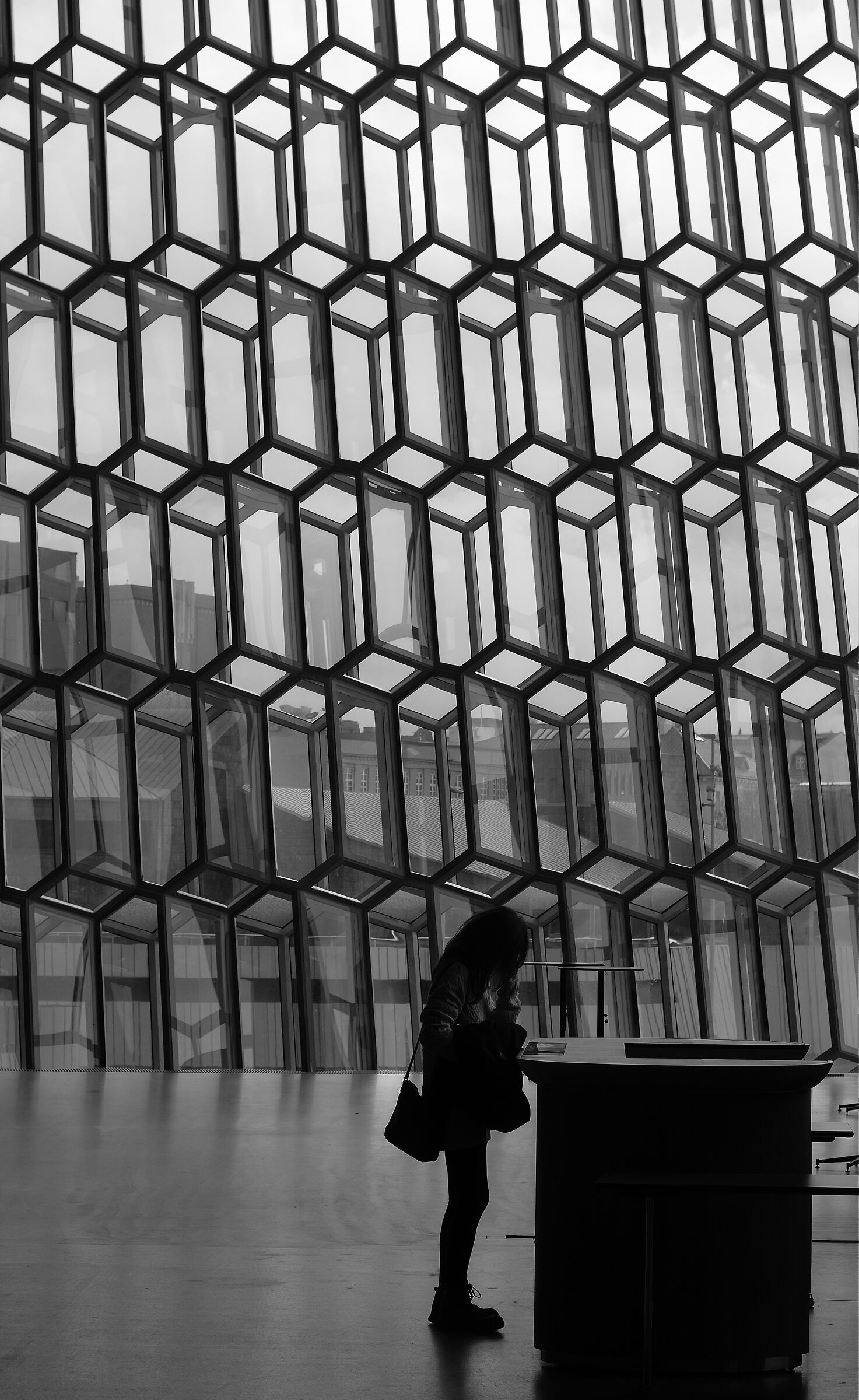 Inside Harpa Concert Hall