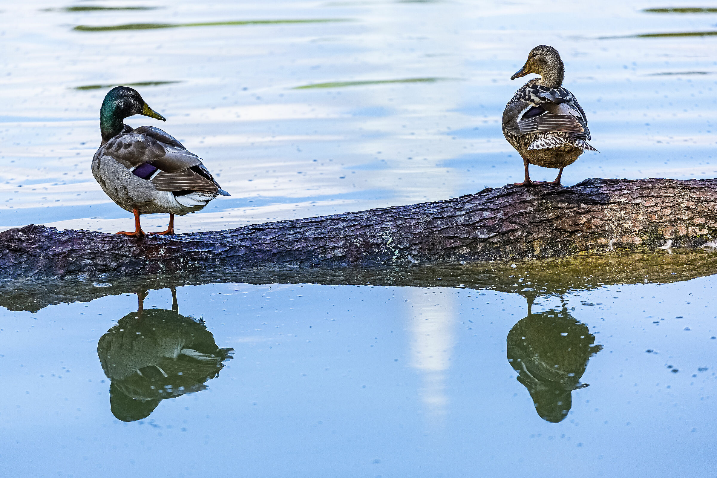 Why are you looking at me?