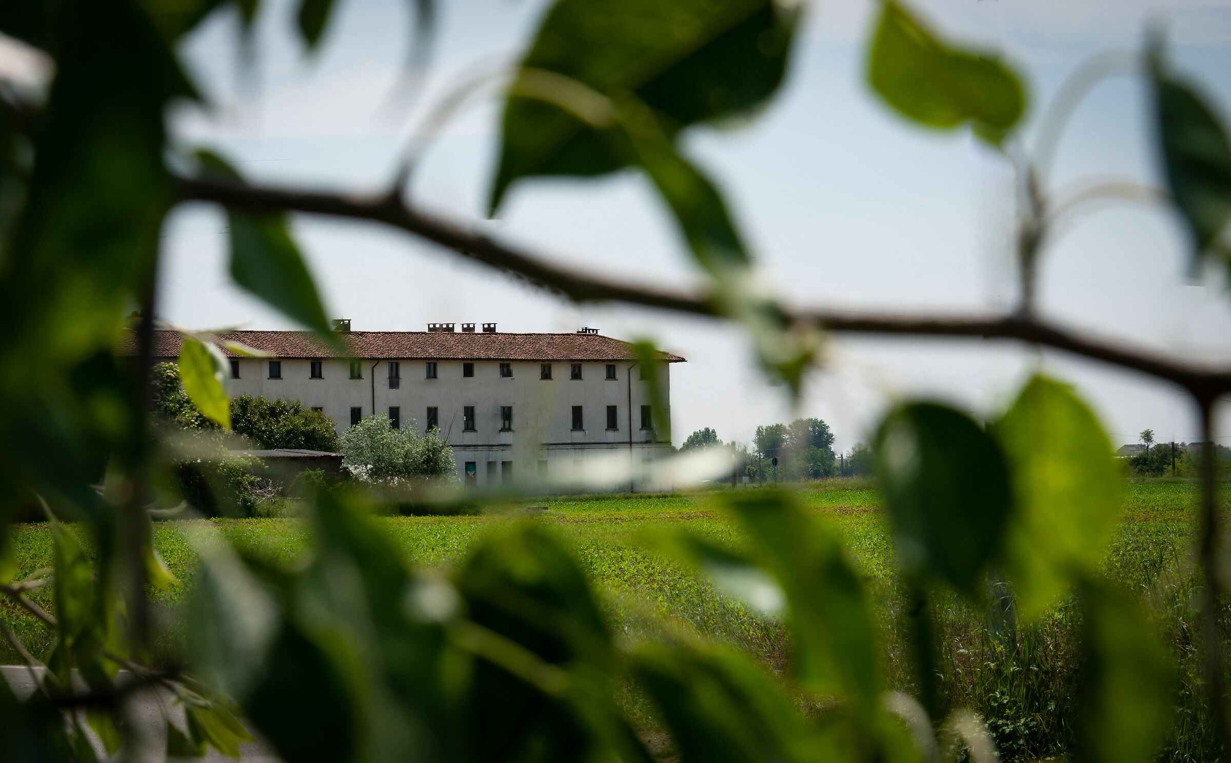 finalmente fuori...-