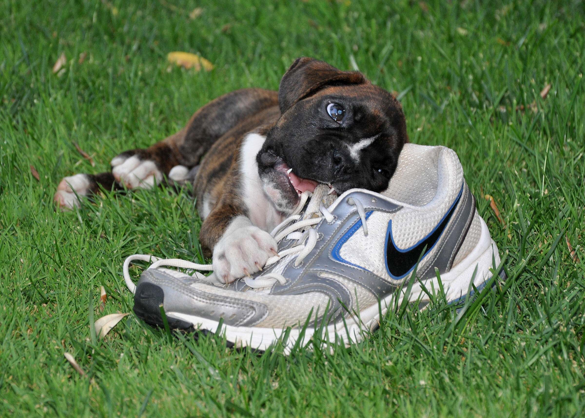 oggetti interessanti