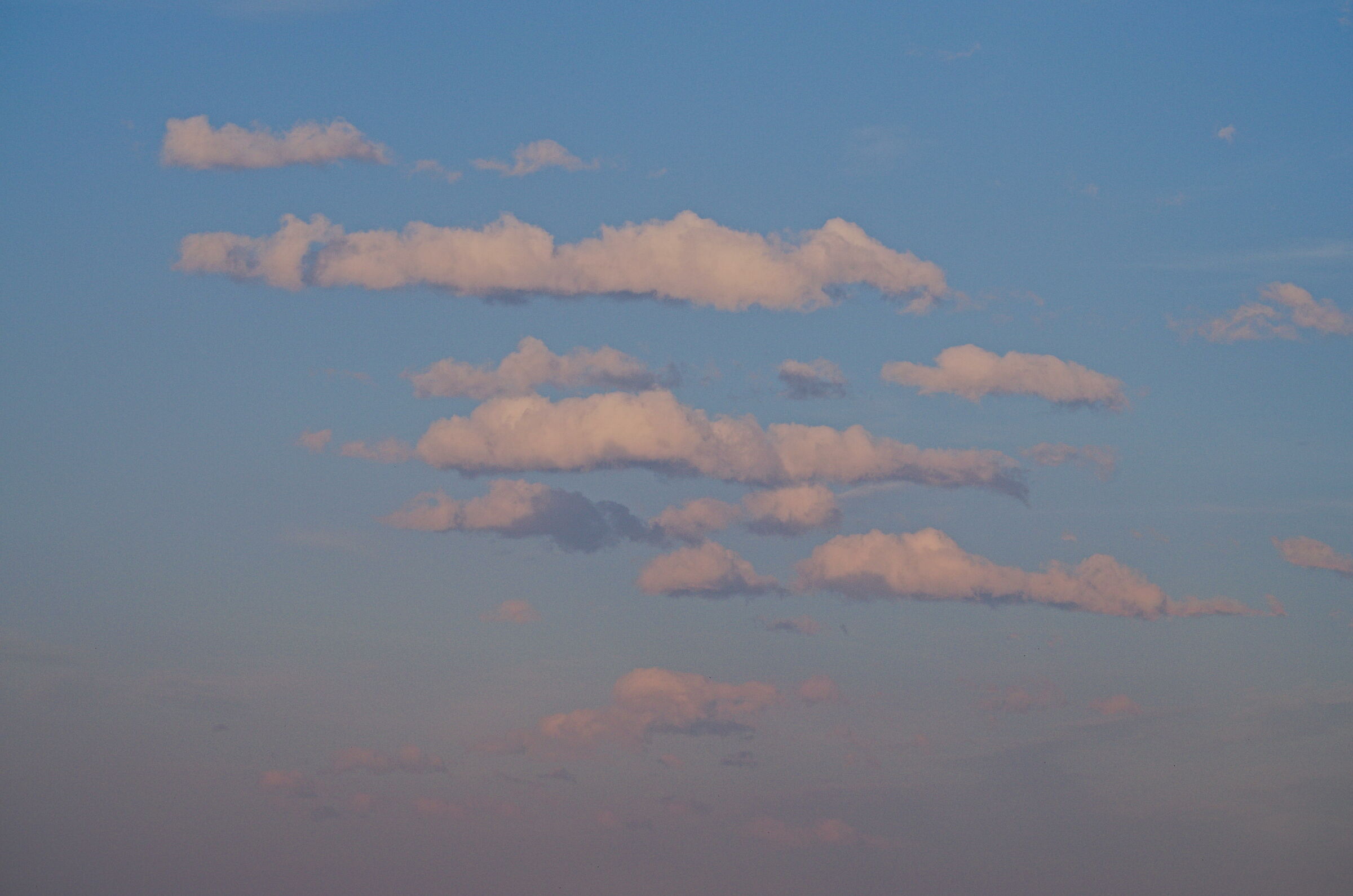 Silver Lining, New New