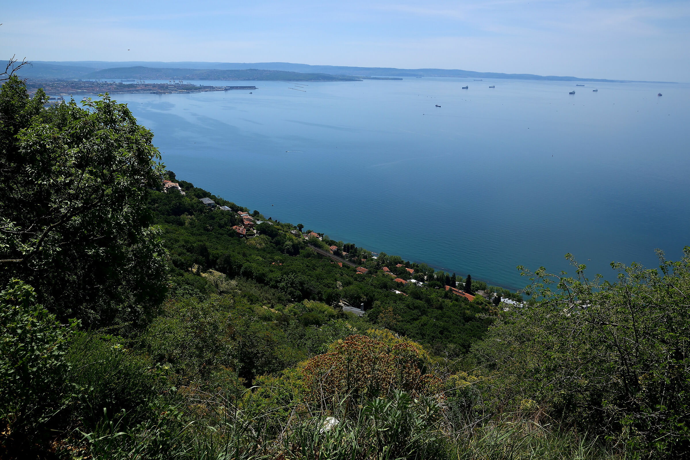 Veduta di Trieste