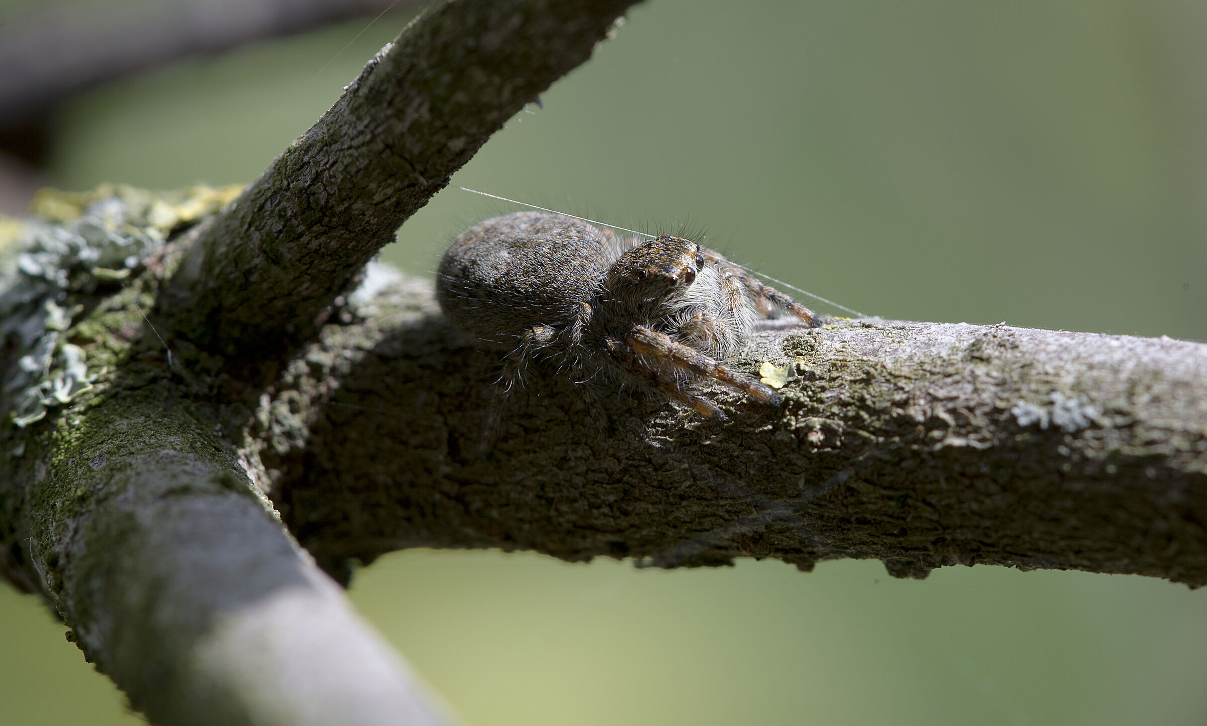 Nature always surprises me