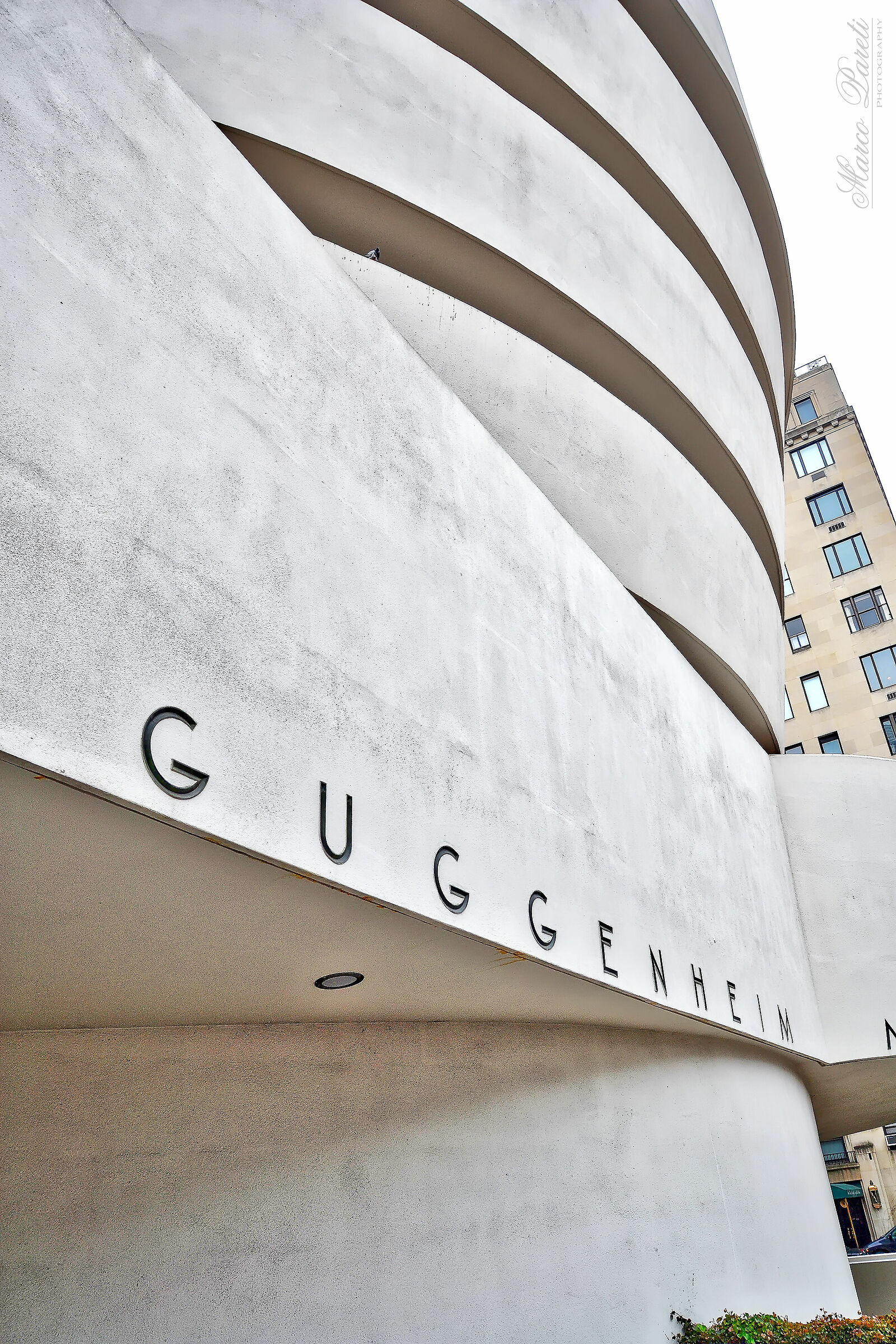 Guggenheim