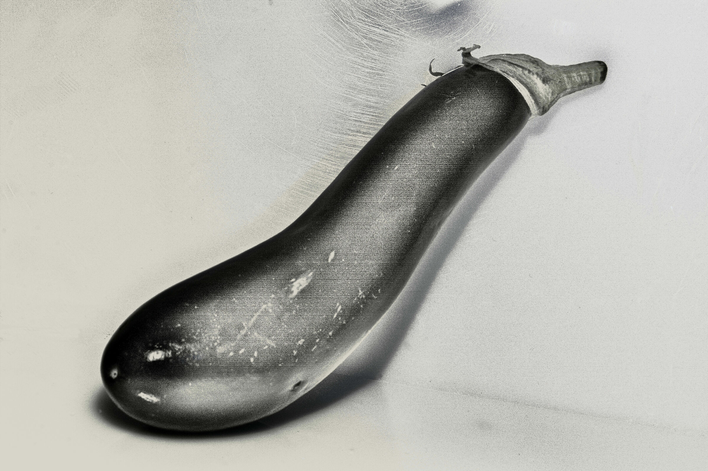 Aubergine B&W