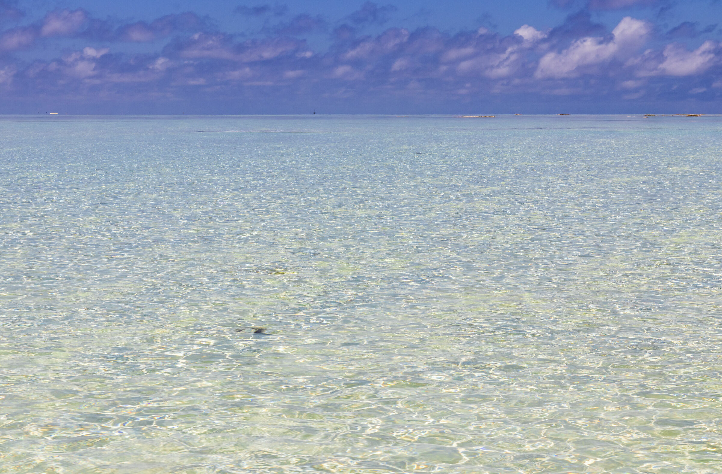 Il MAREa Zanzibar!!!