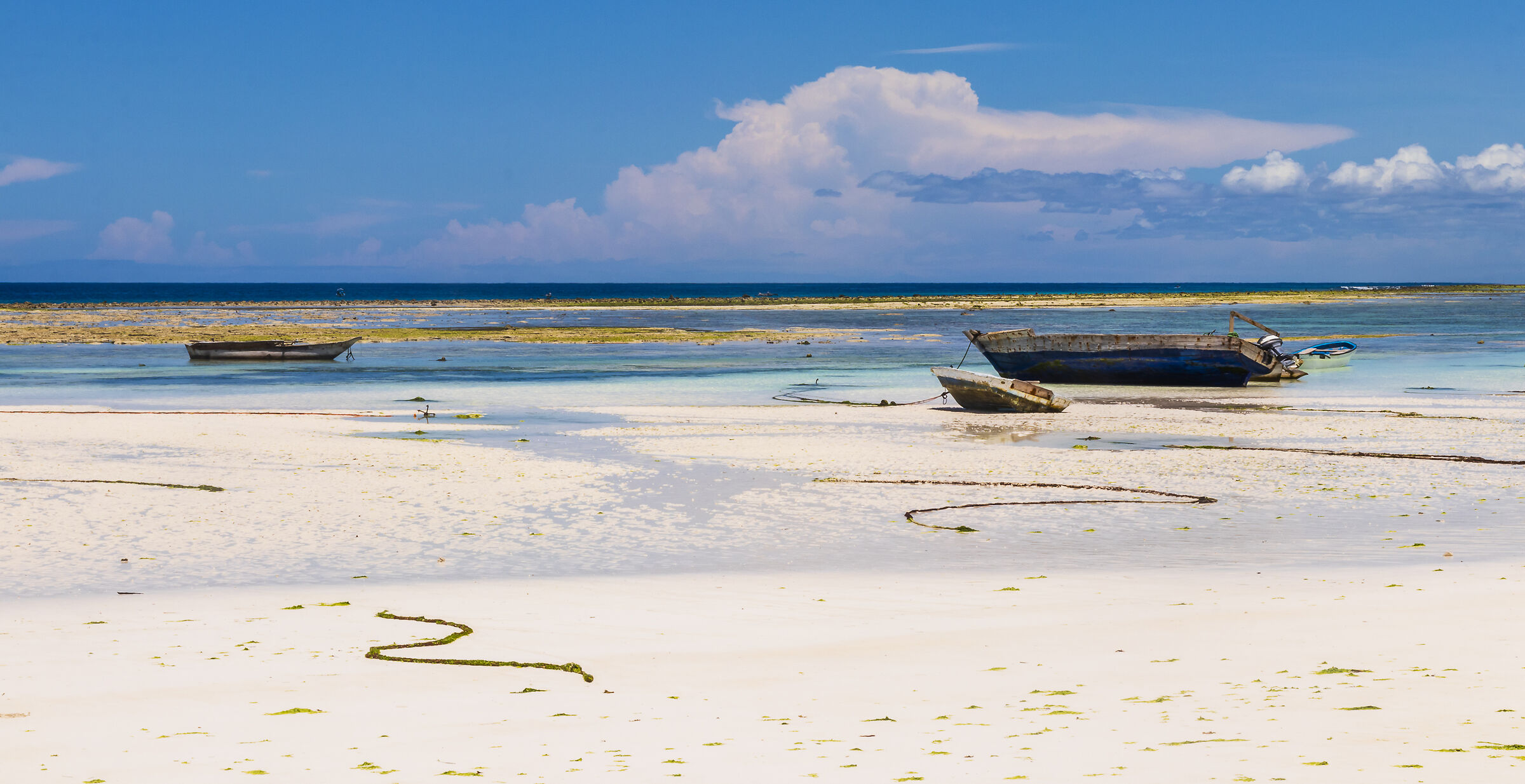 The colors of Zanzibar
