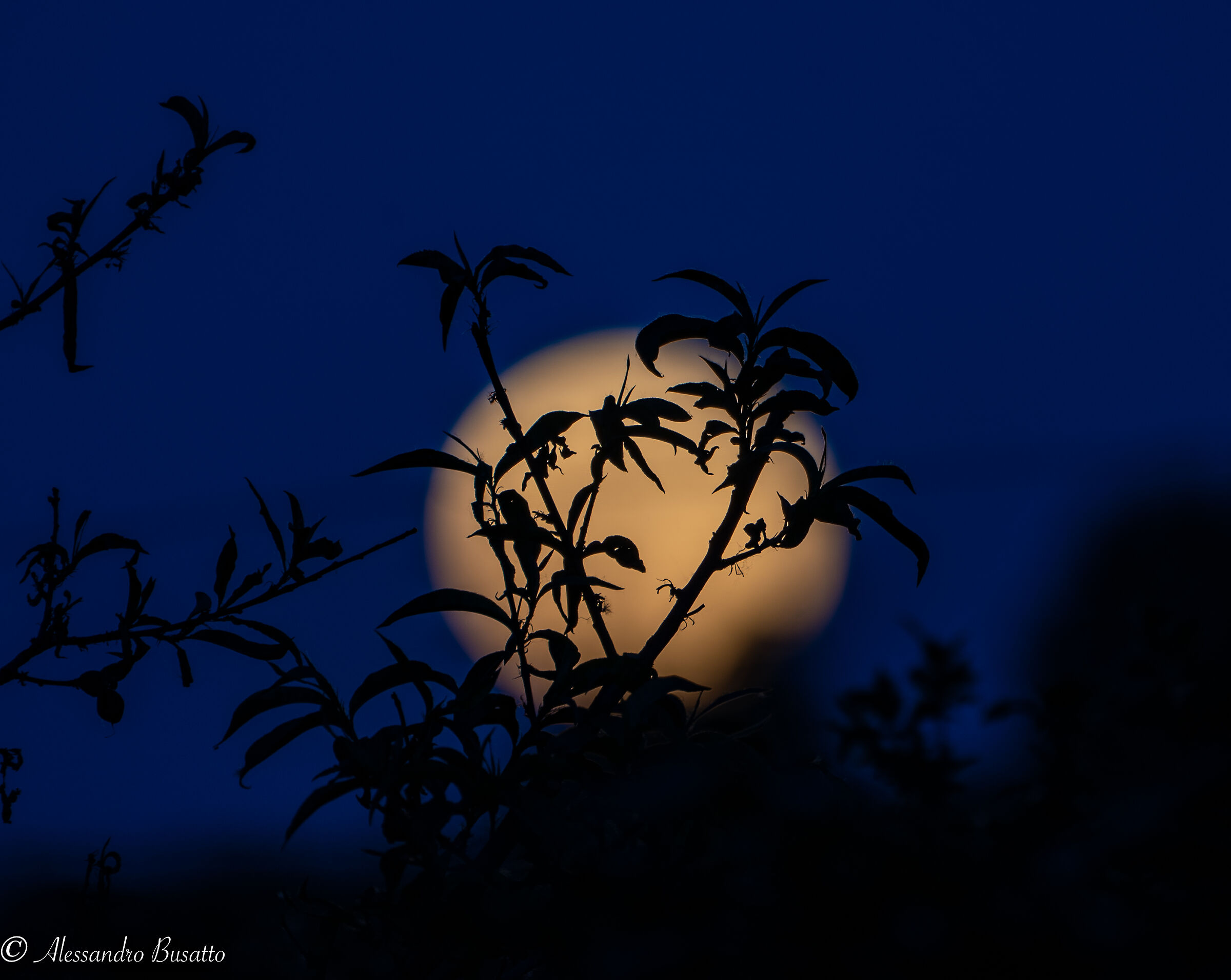 Last night's moon