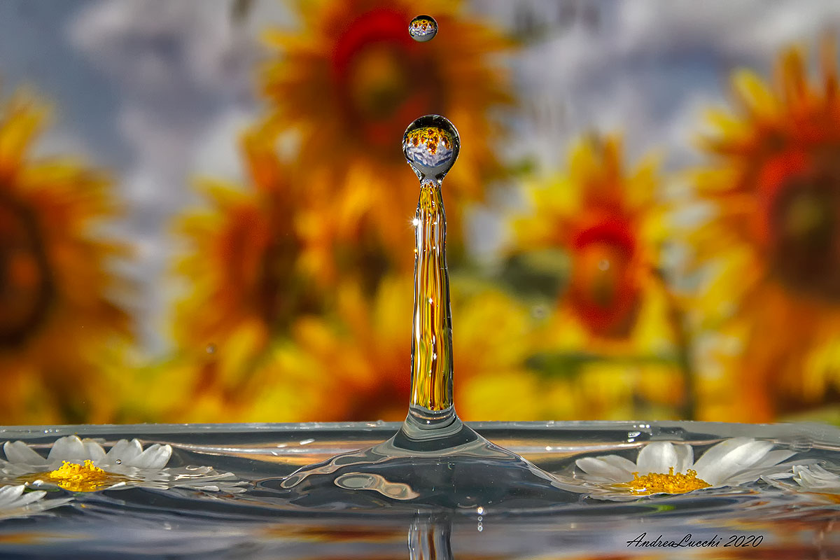 una murrina d' acqua