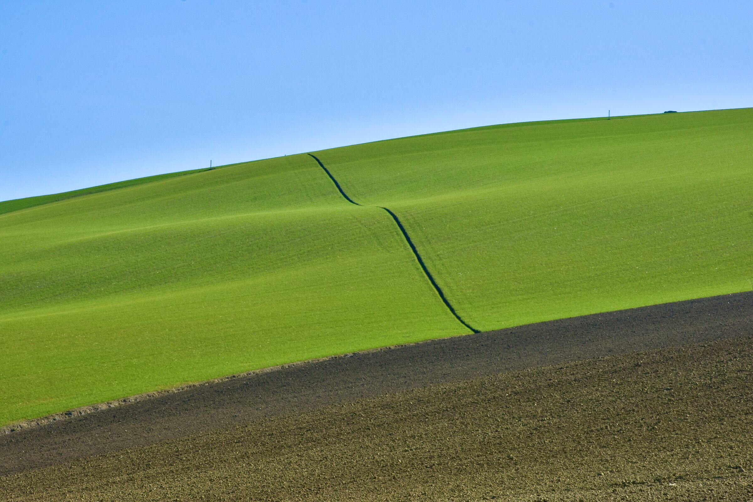 lLinea verde