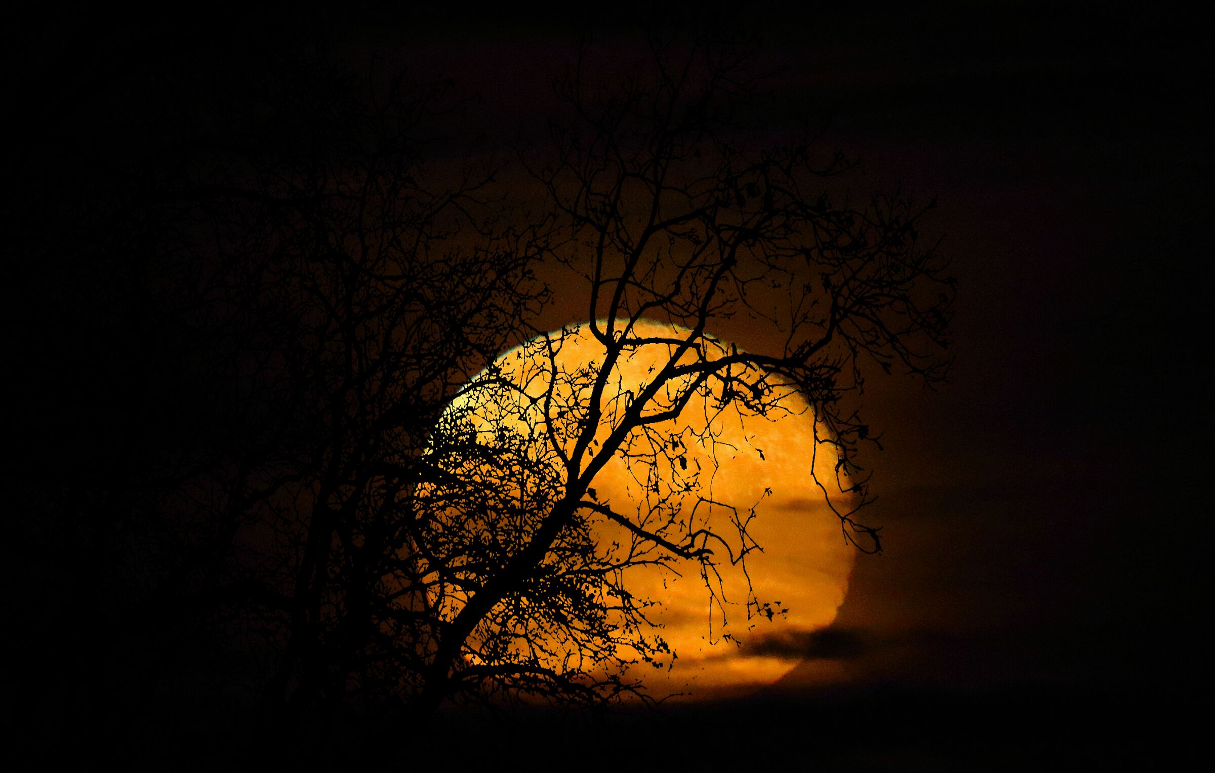 La levata: Luna crescente al 99%