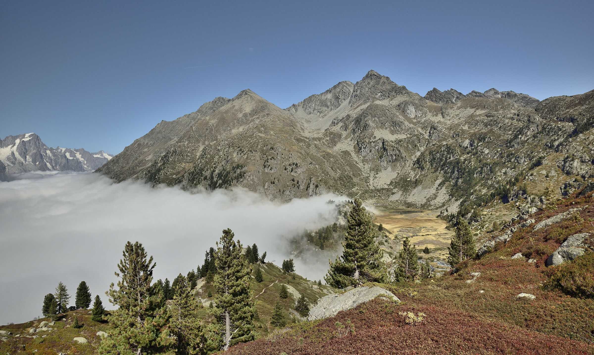 da circa quota 2200m