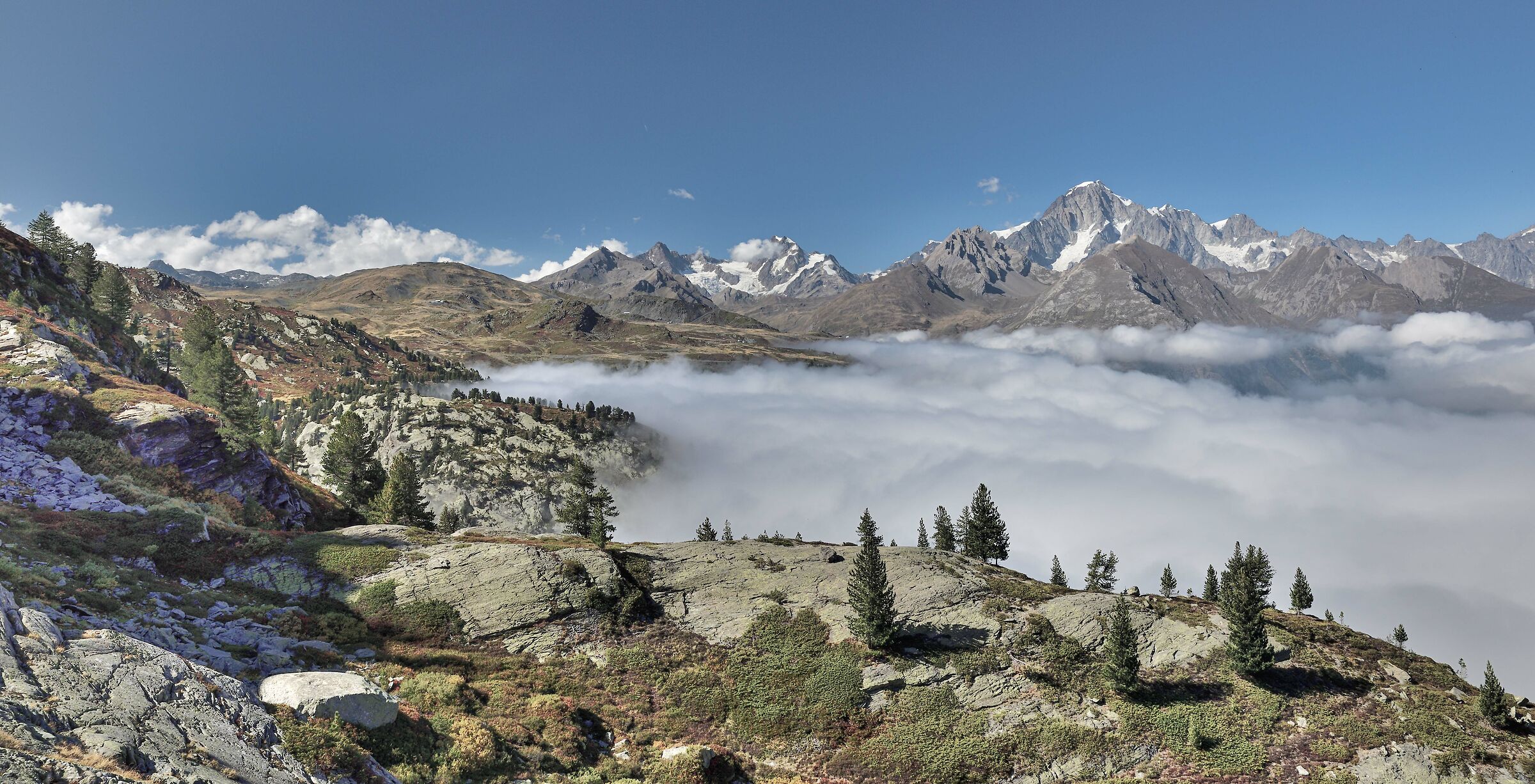 da circa quota 2200m