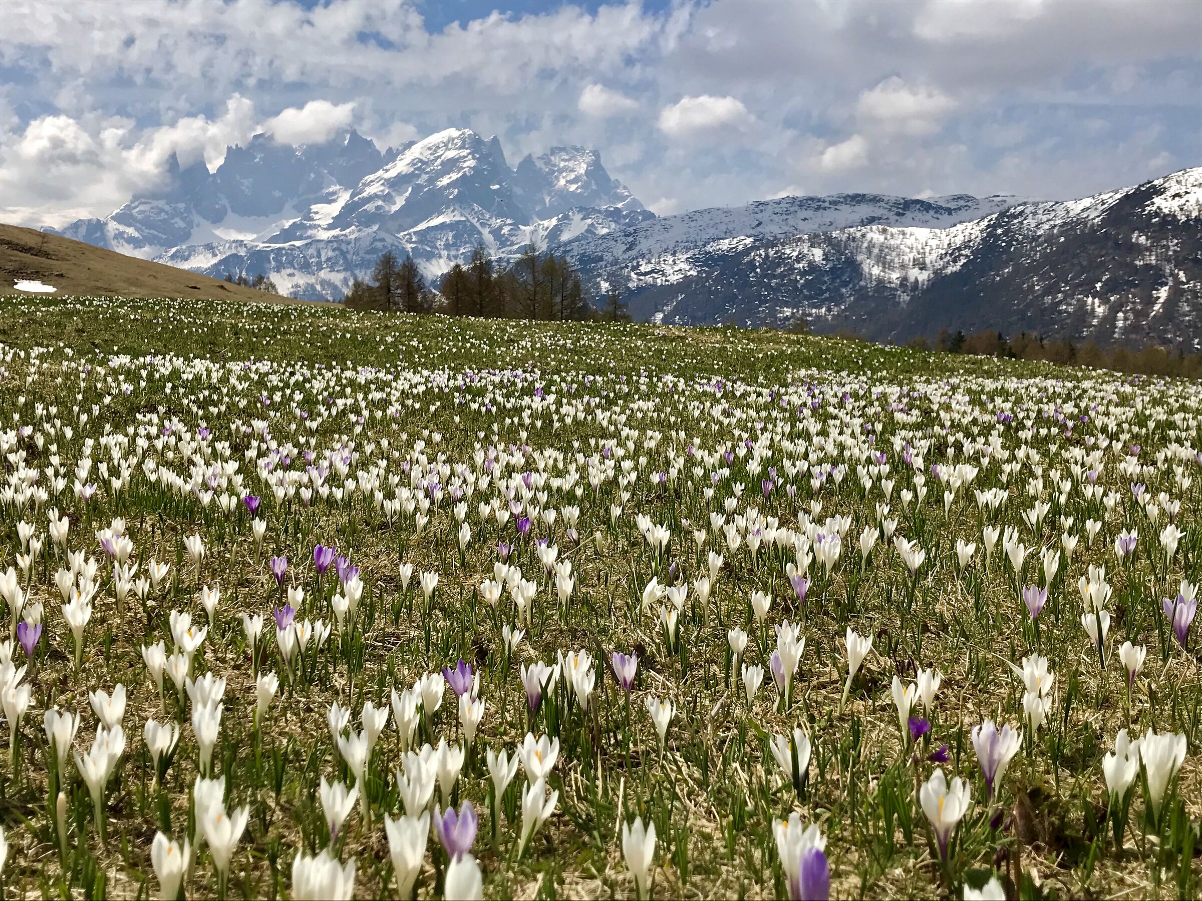 So close... So far.,,