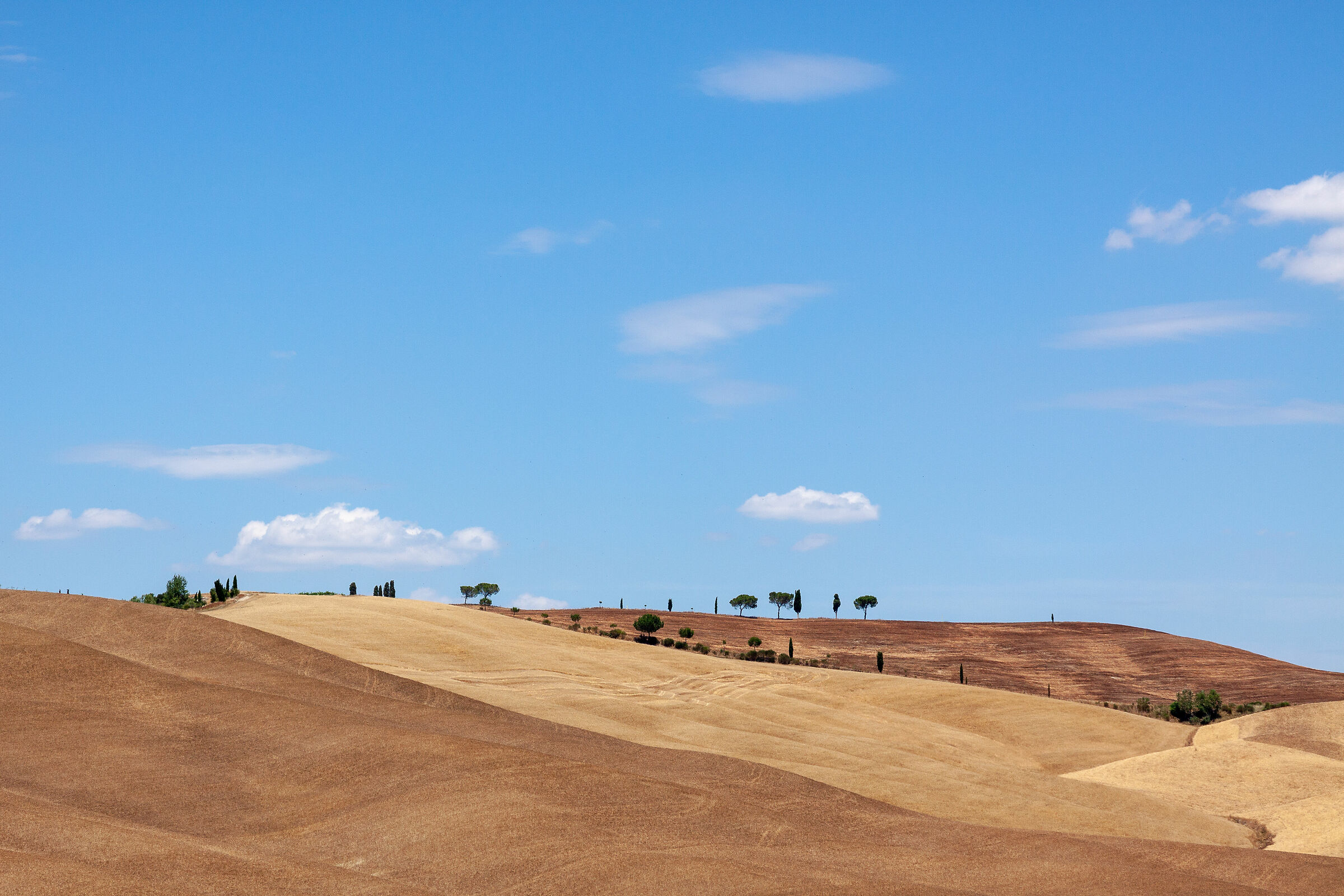 Le colline di San Quirico