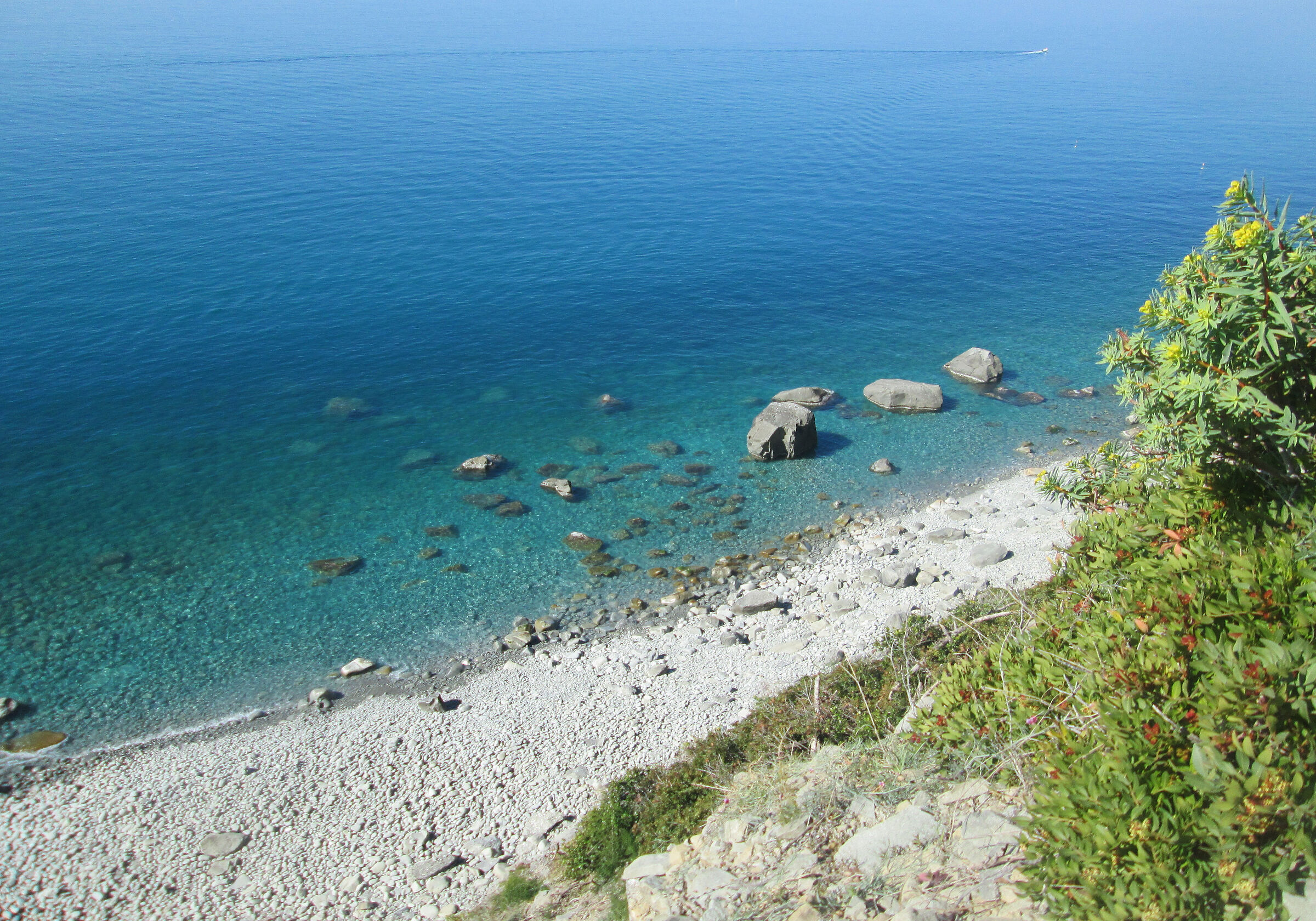 Punta persico,Cinque Terre, Liguria