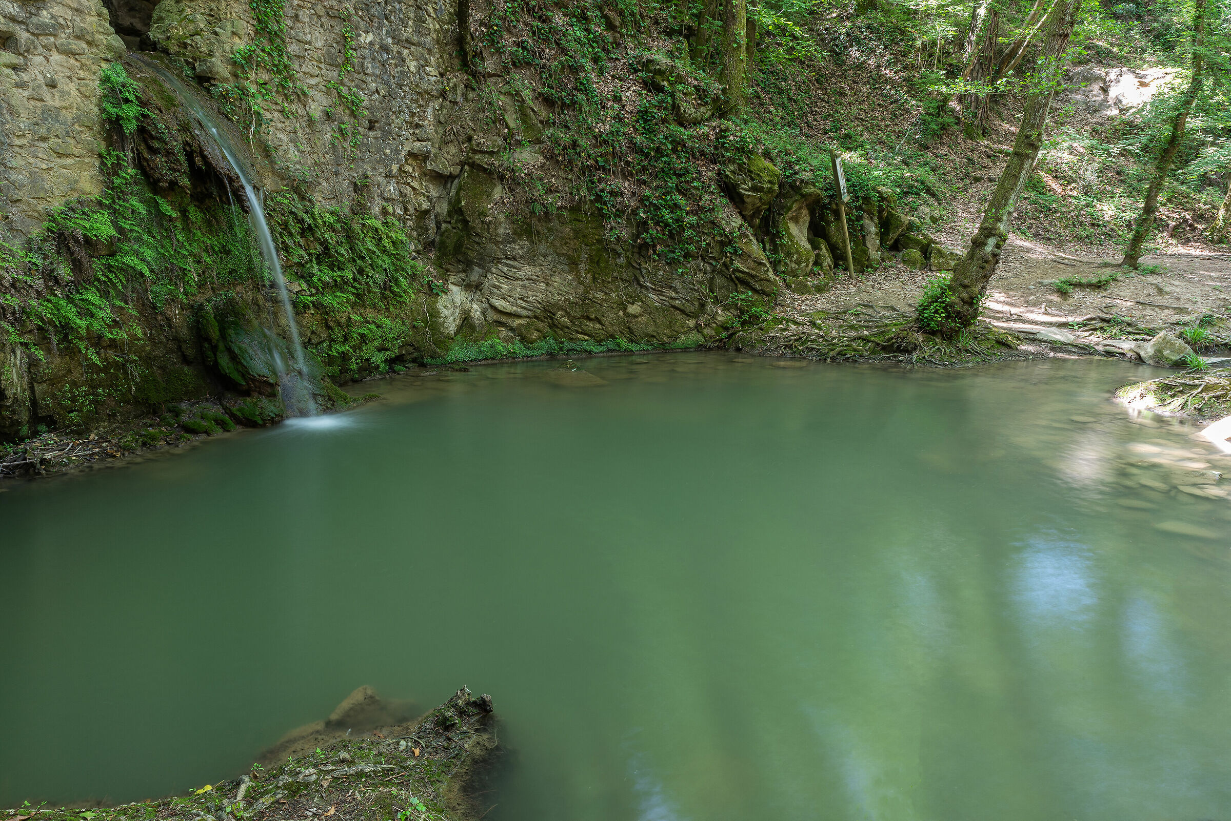 Il laghetto del Mulinaccio