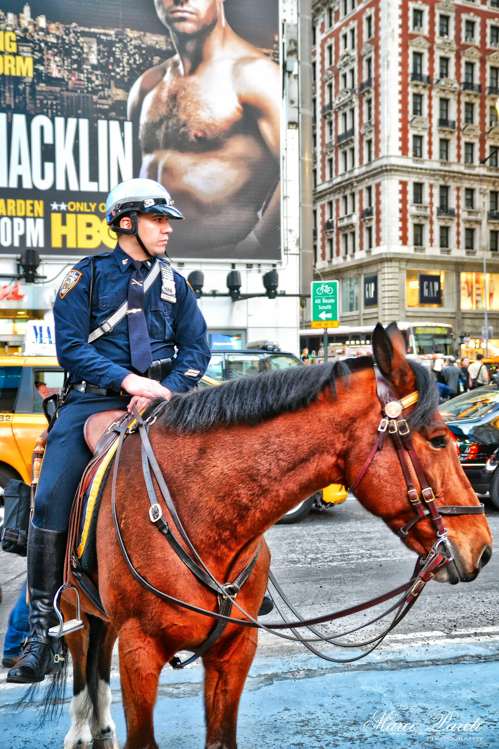 Mounted Police - NYPD