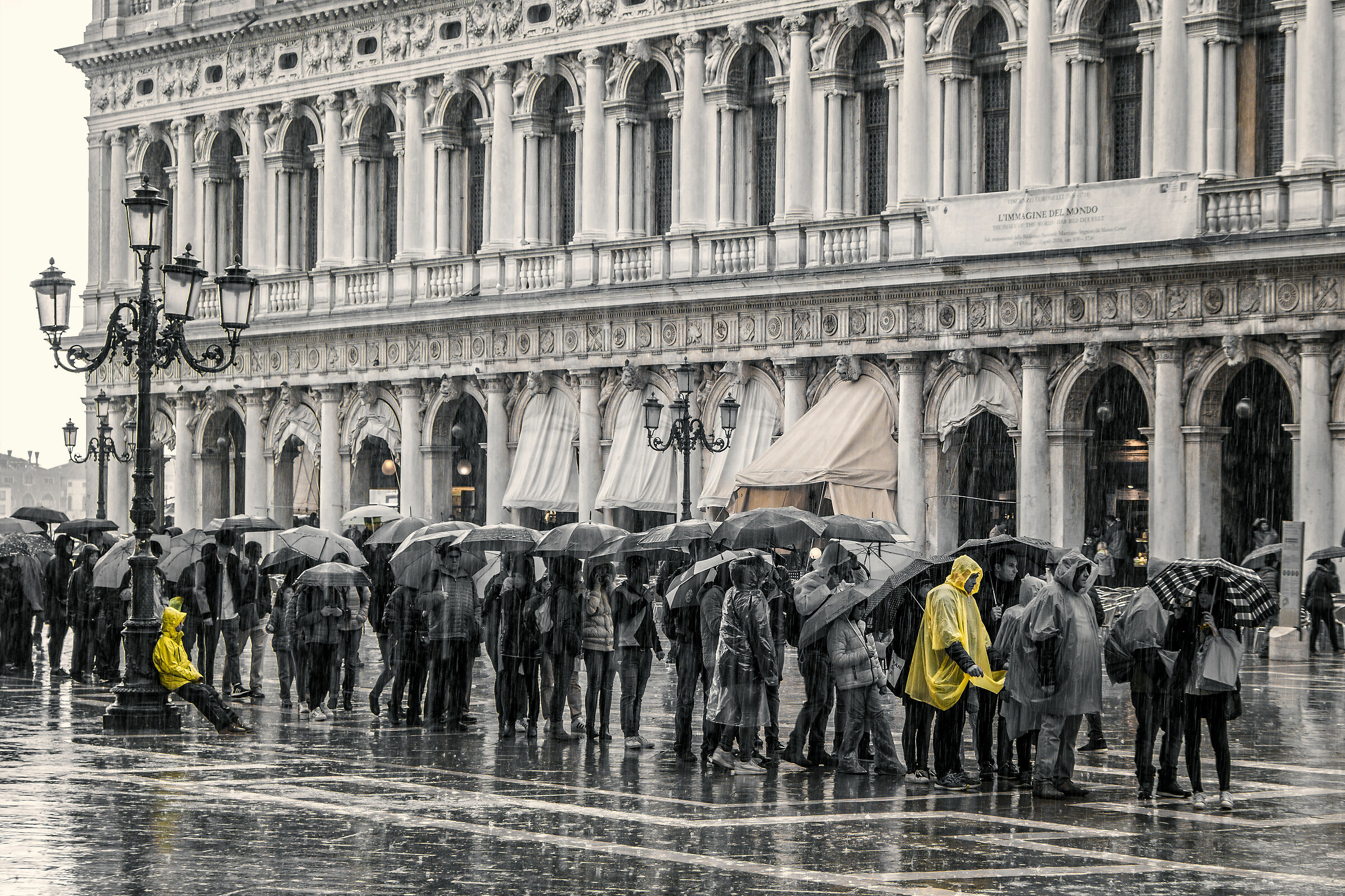 Yellow Raincoats, New