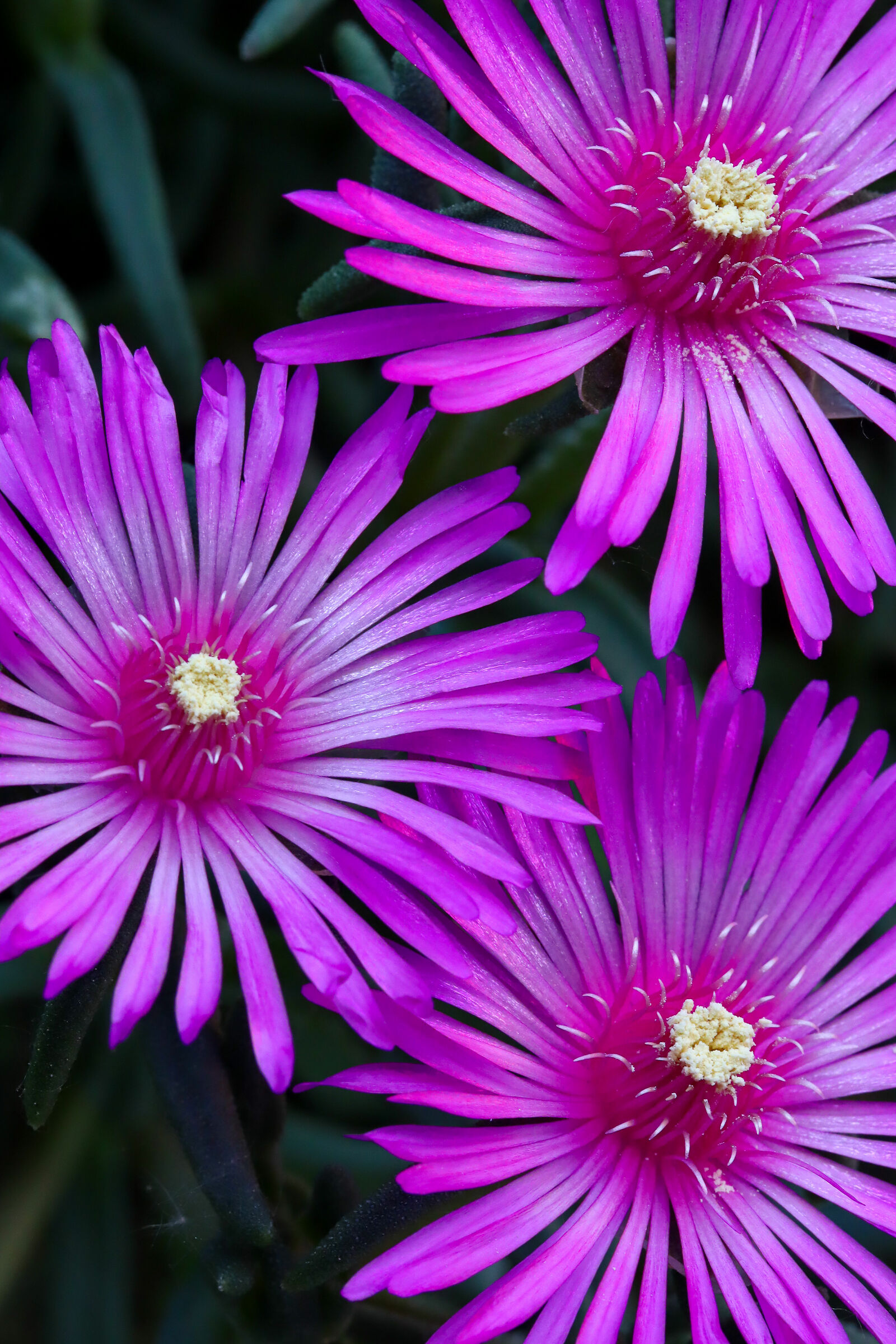 The triangle doesn't...