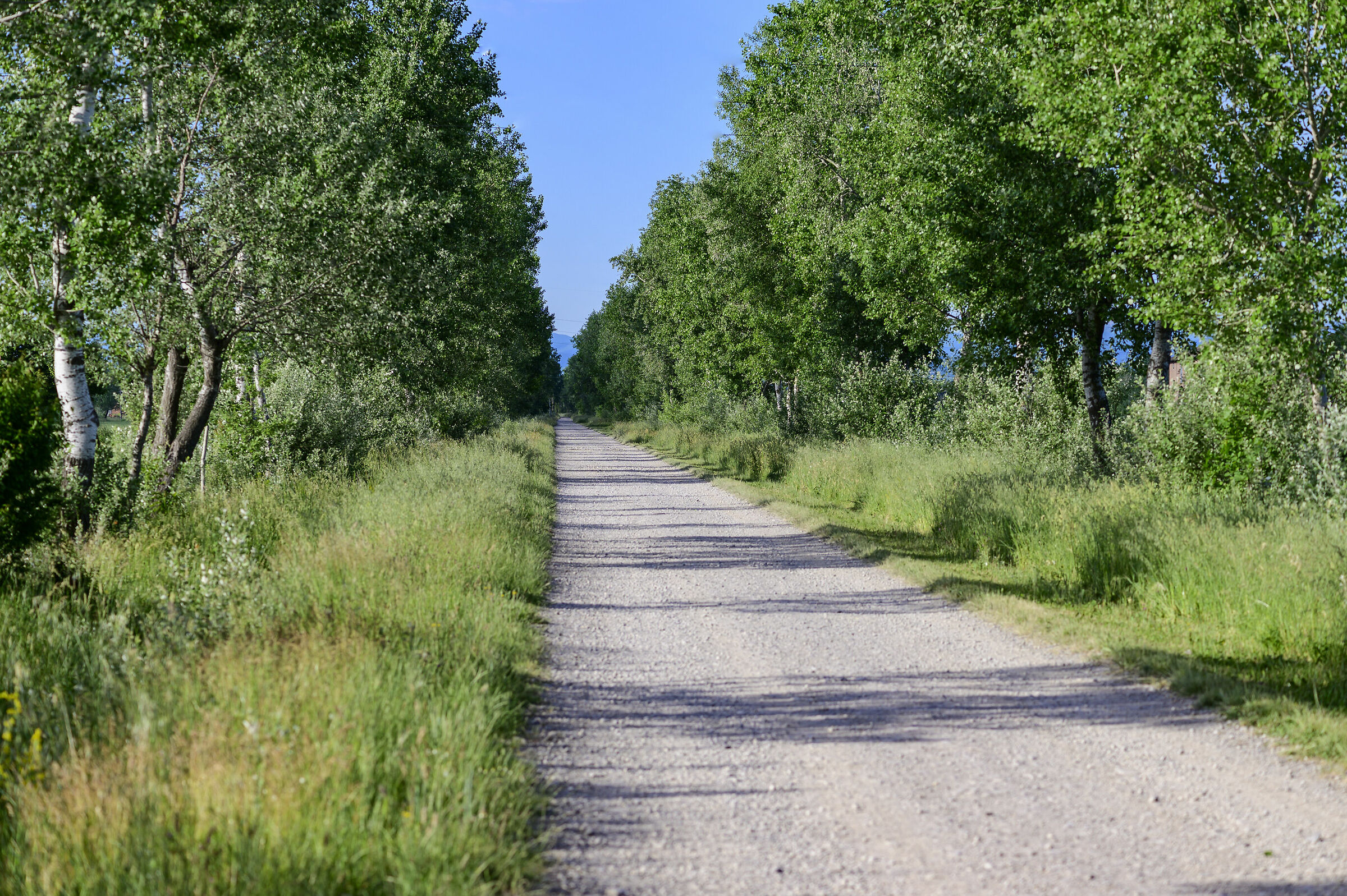 Strade di campagna