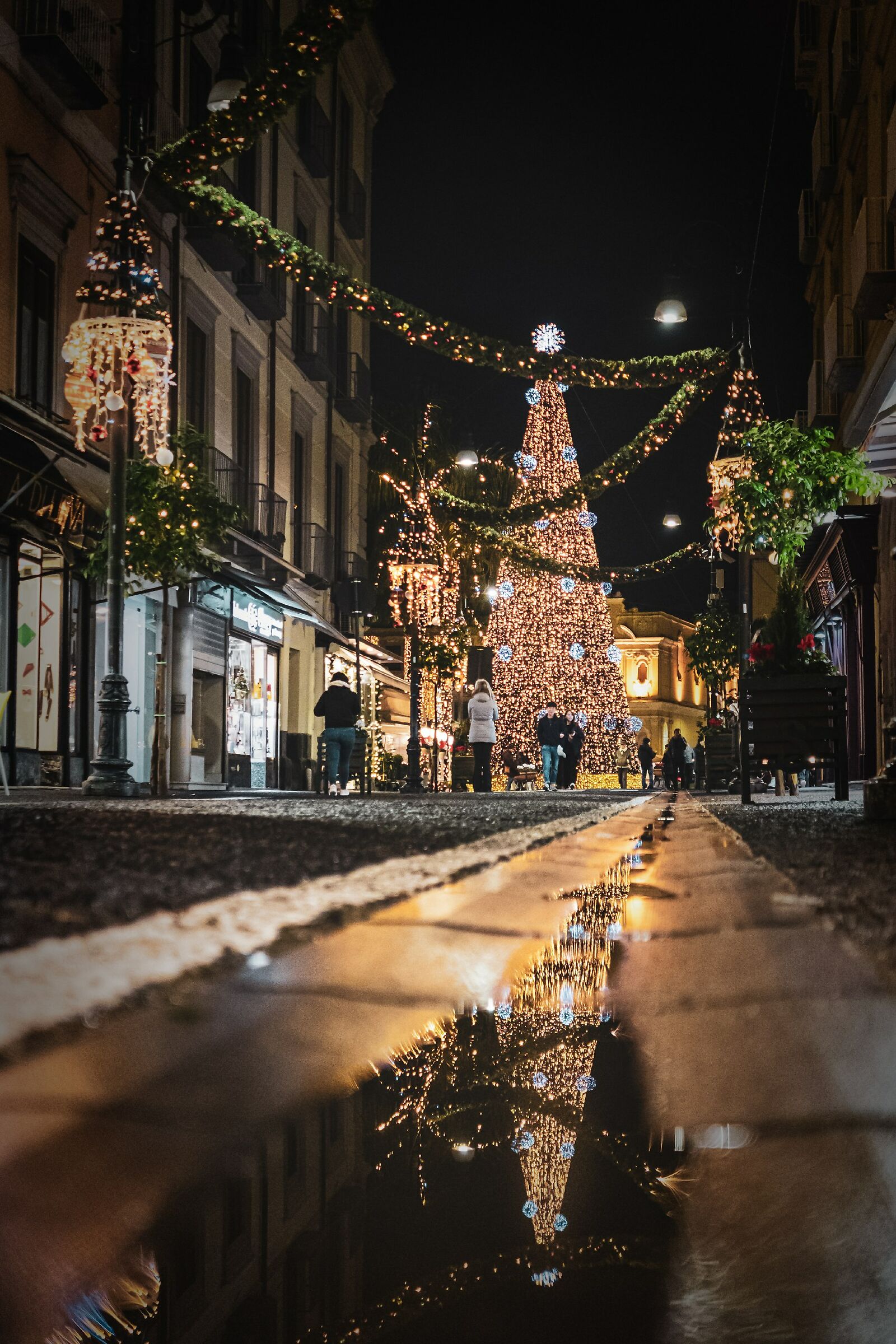 Christmas reflections