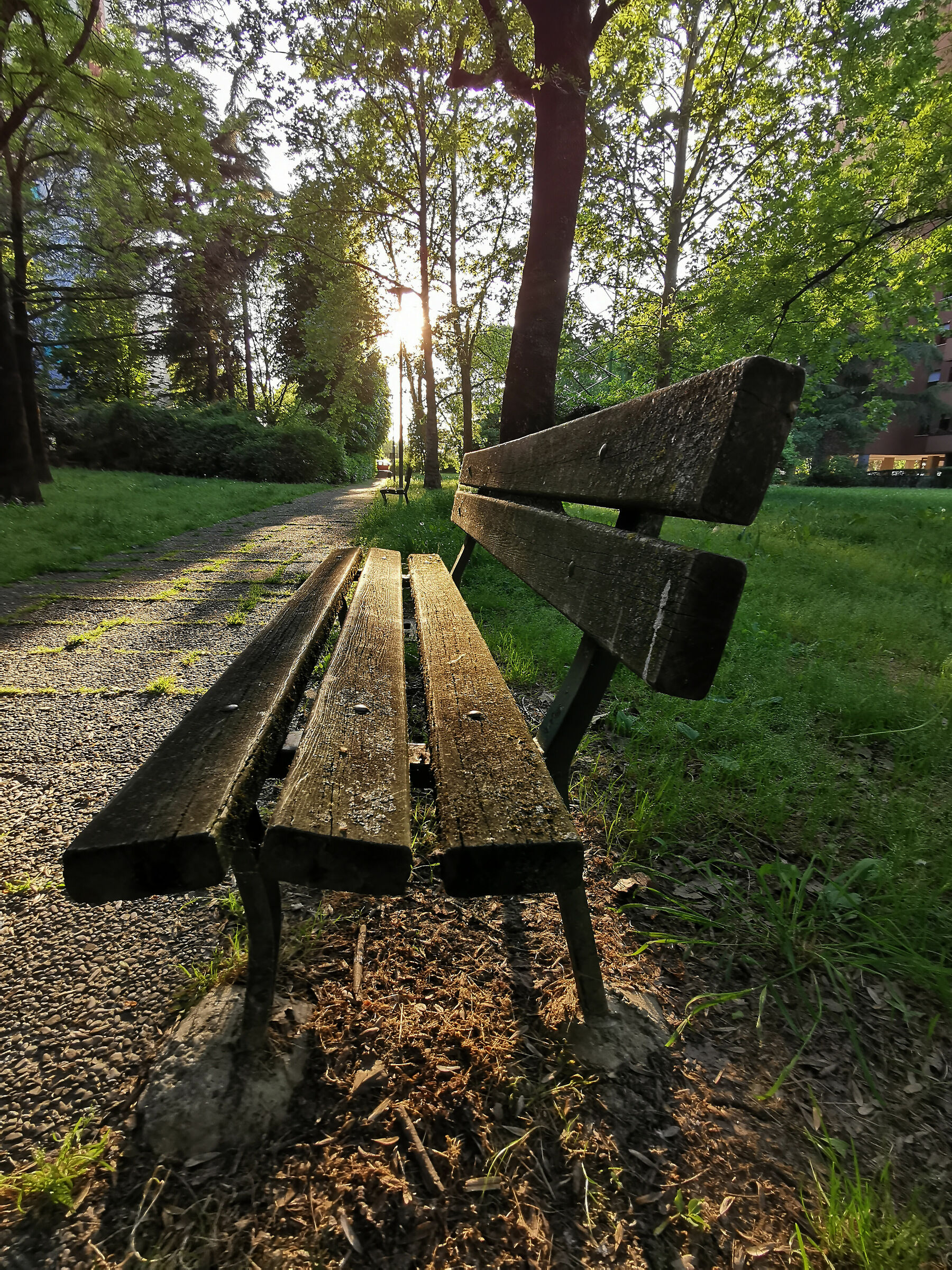 il deserto del corona