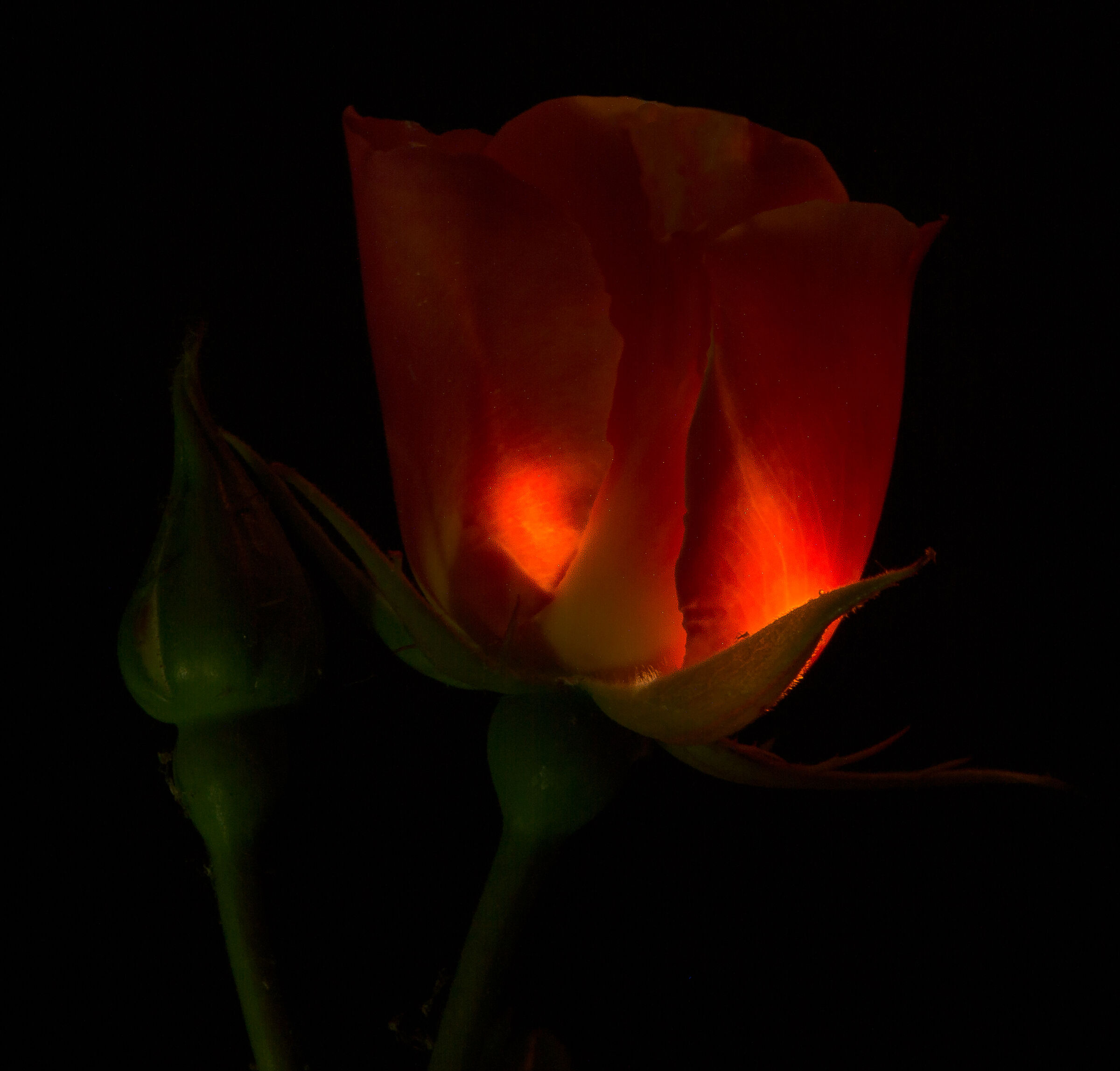 Lights