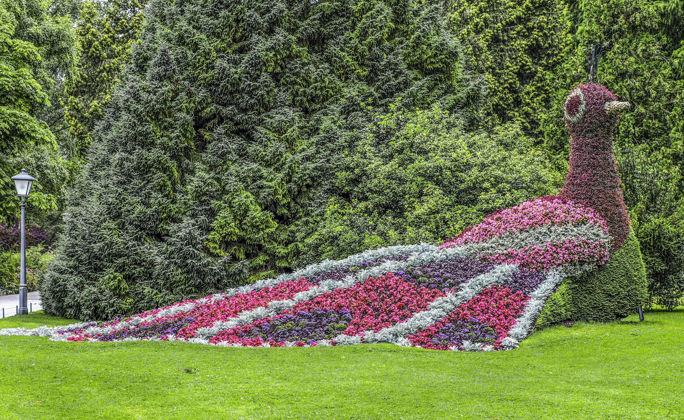Auguri a tutte le Mamme