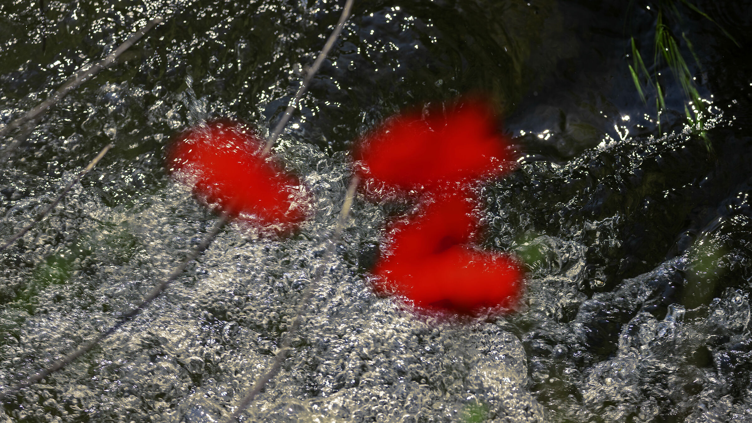 Con tutte quelle tutte quelle bollicine