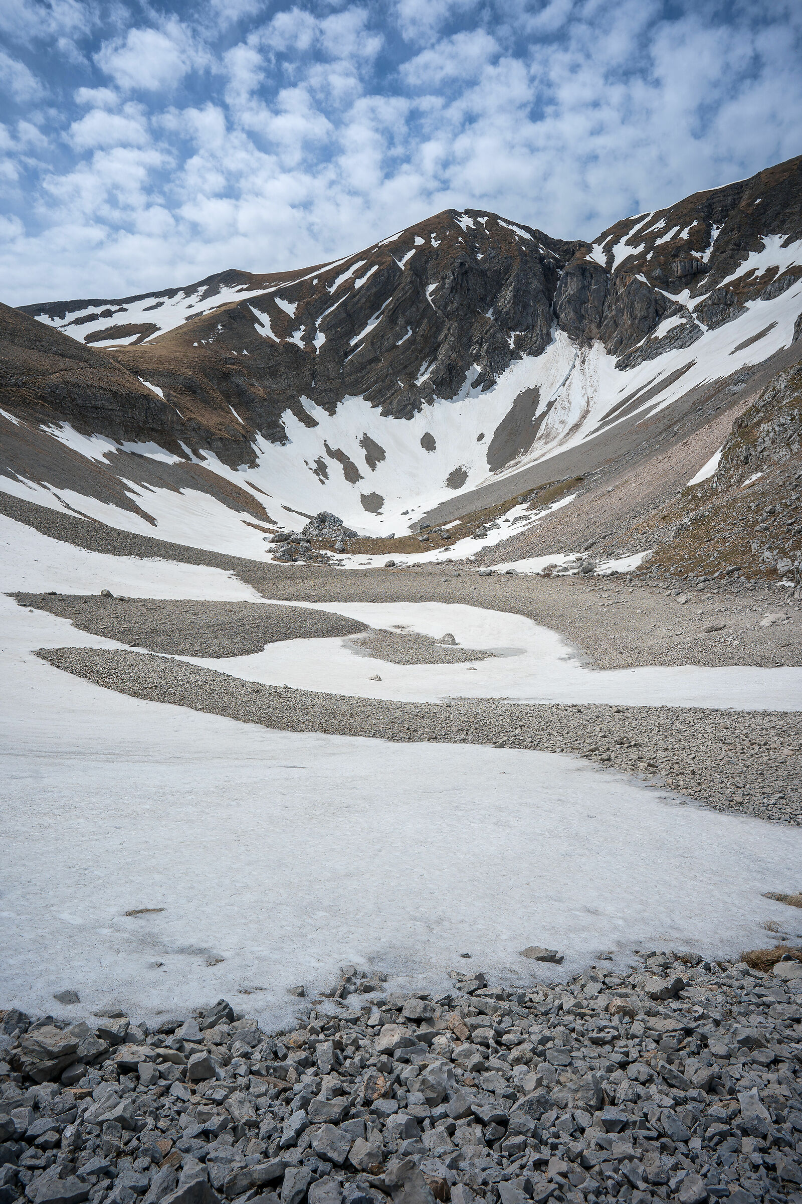 Escape from COVID-19