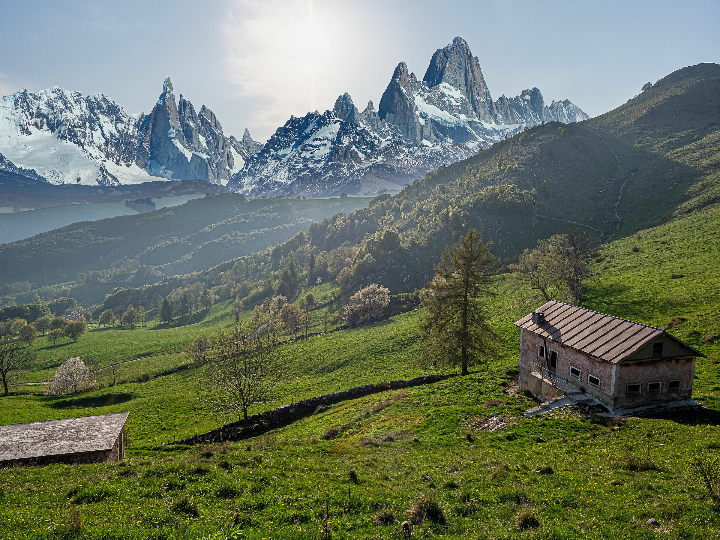 sconvolgimento coronavirusiano