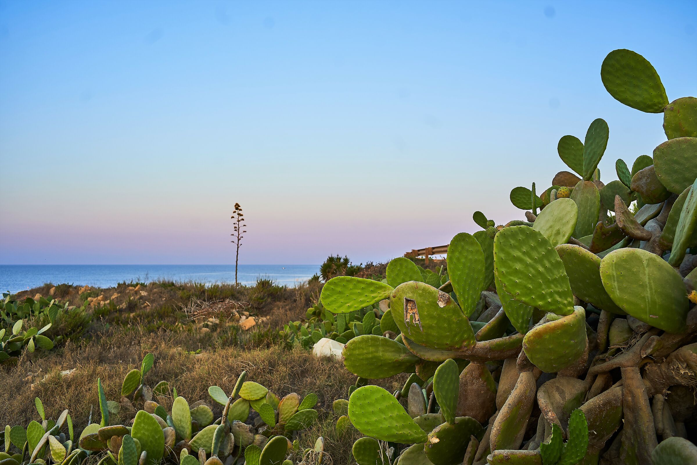Sunrise on the coast of Torretta Granitola