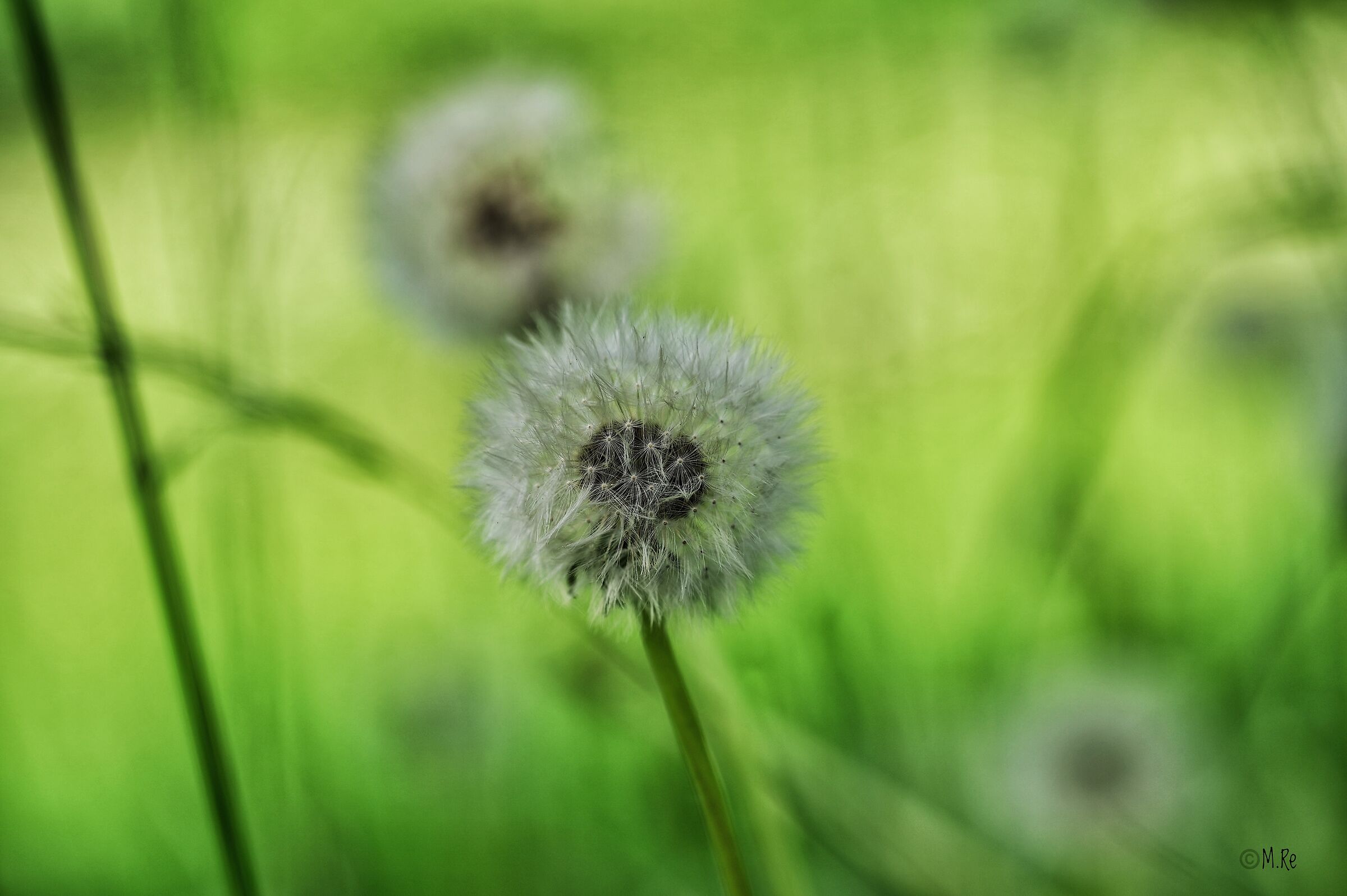 Untitled Photo