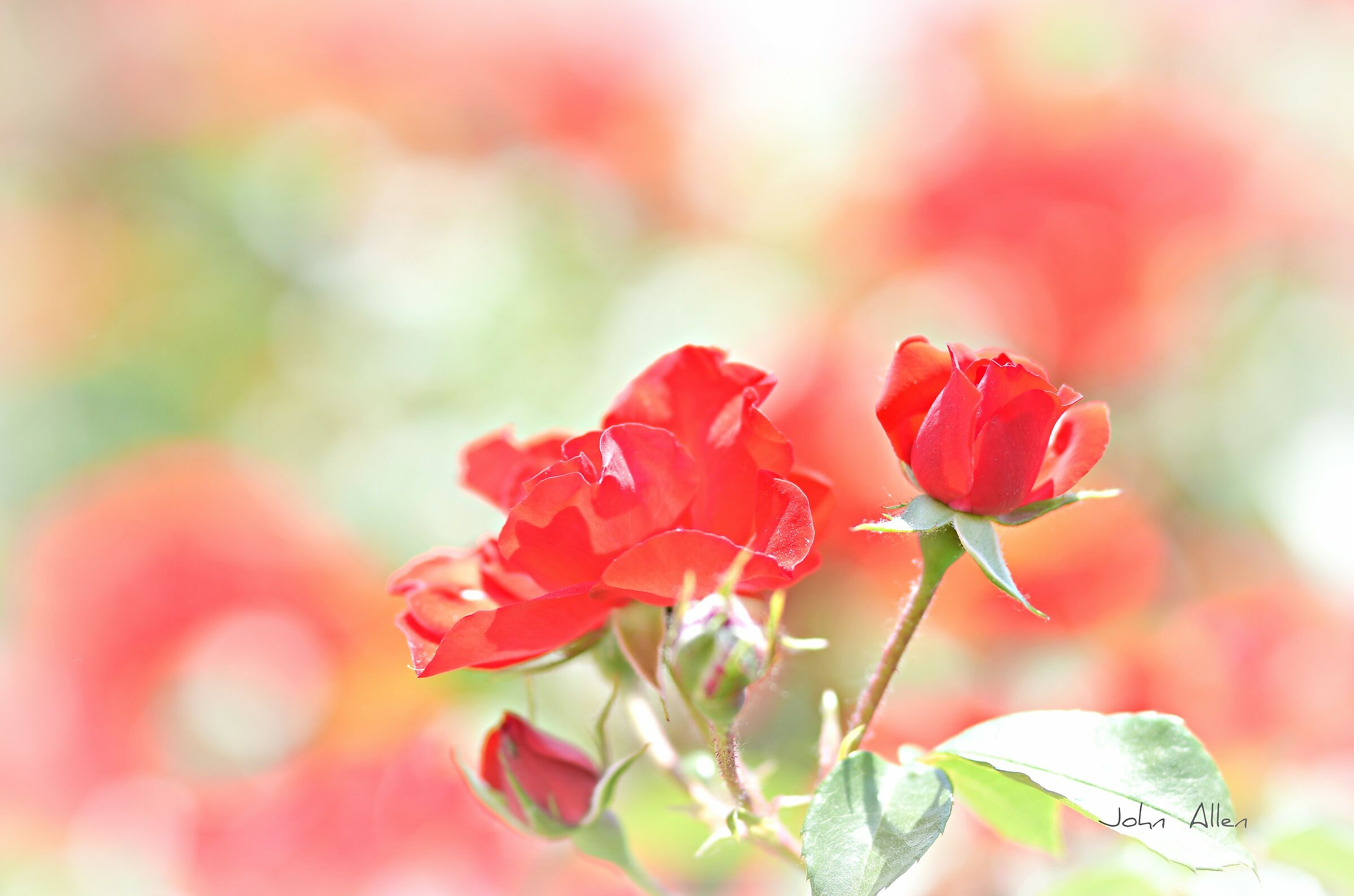 Congratulations to all mothers