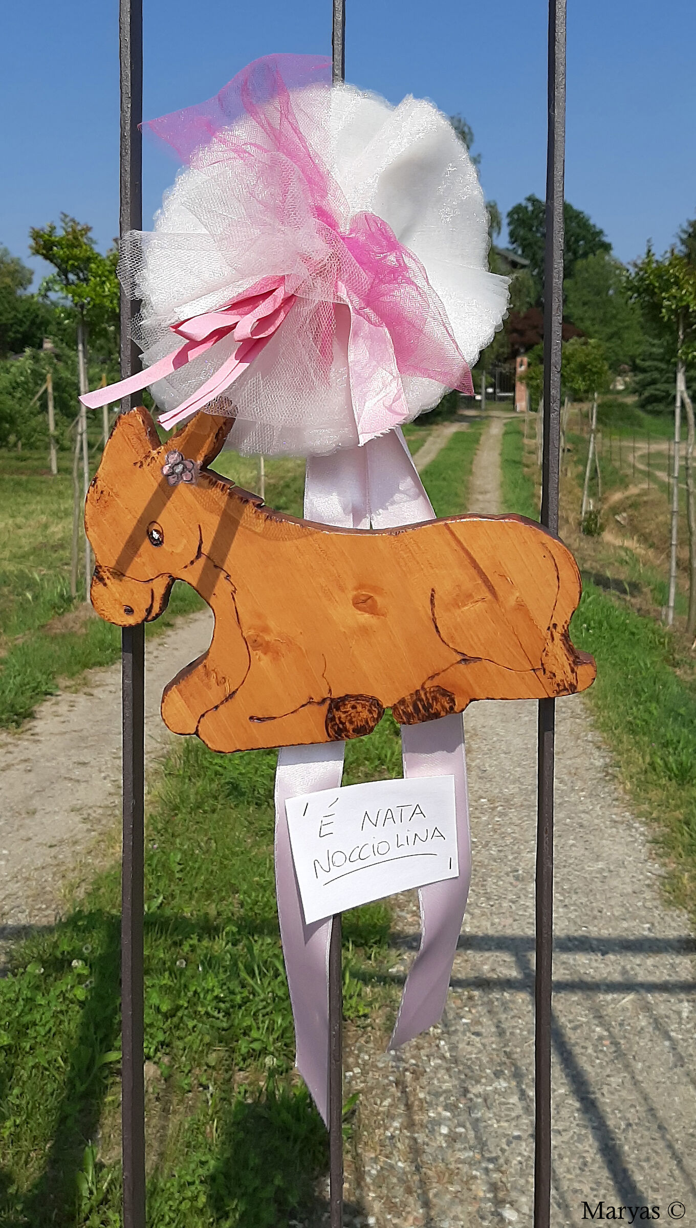 Un lieto evento in cascina