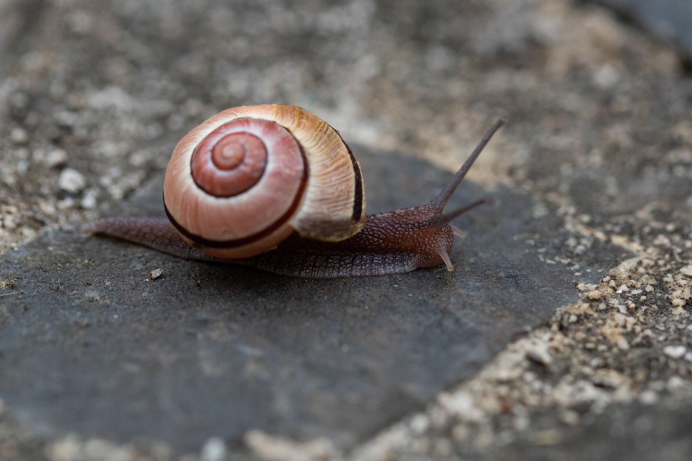 Nel parcheggio dietro casa