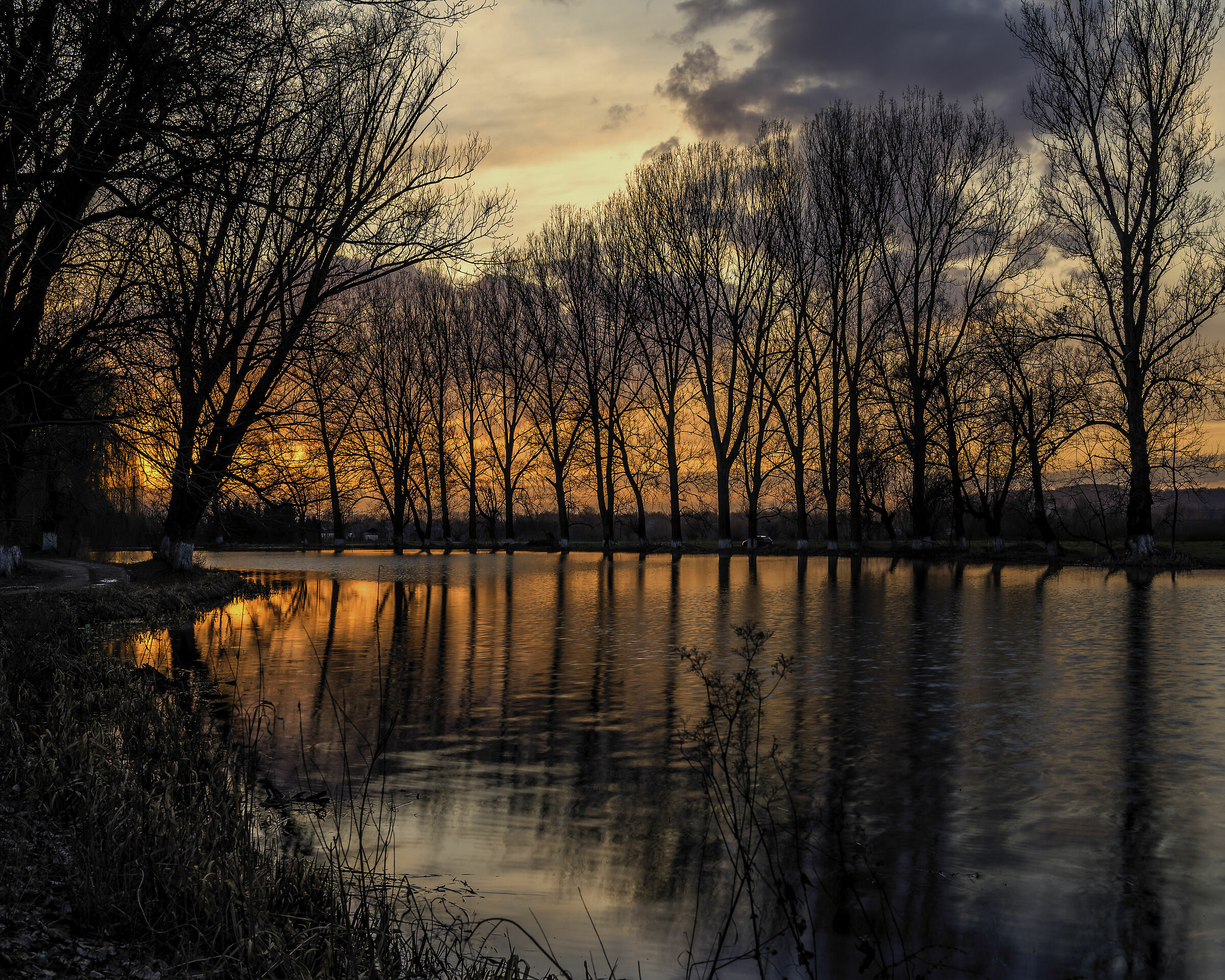 Last evening before the big quarantine