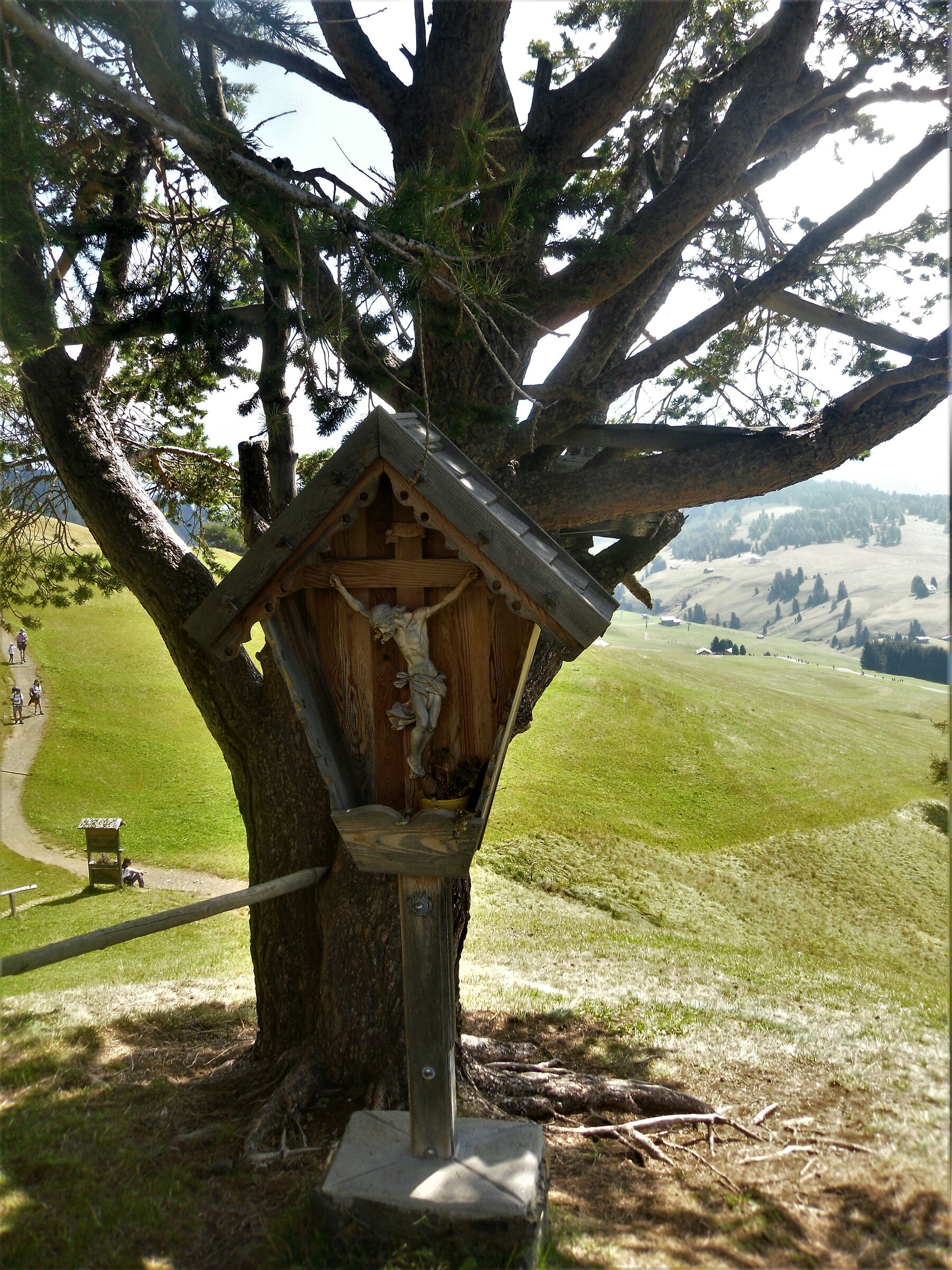 Ortisei Alpe of Siusi