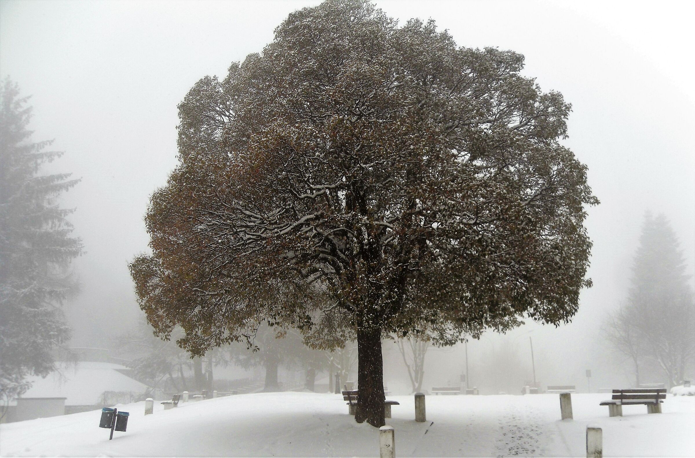 Magreglio, il Ghisallo