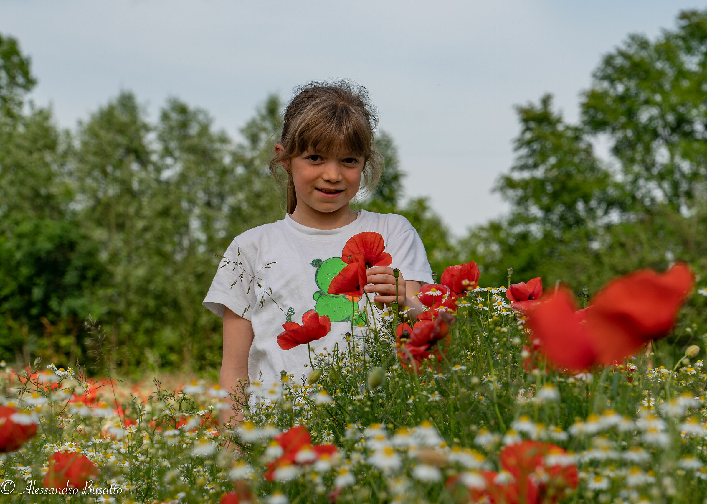 Un fiore tra i fiori