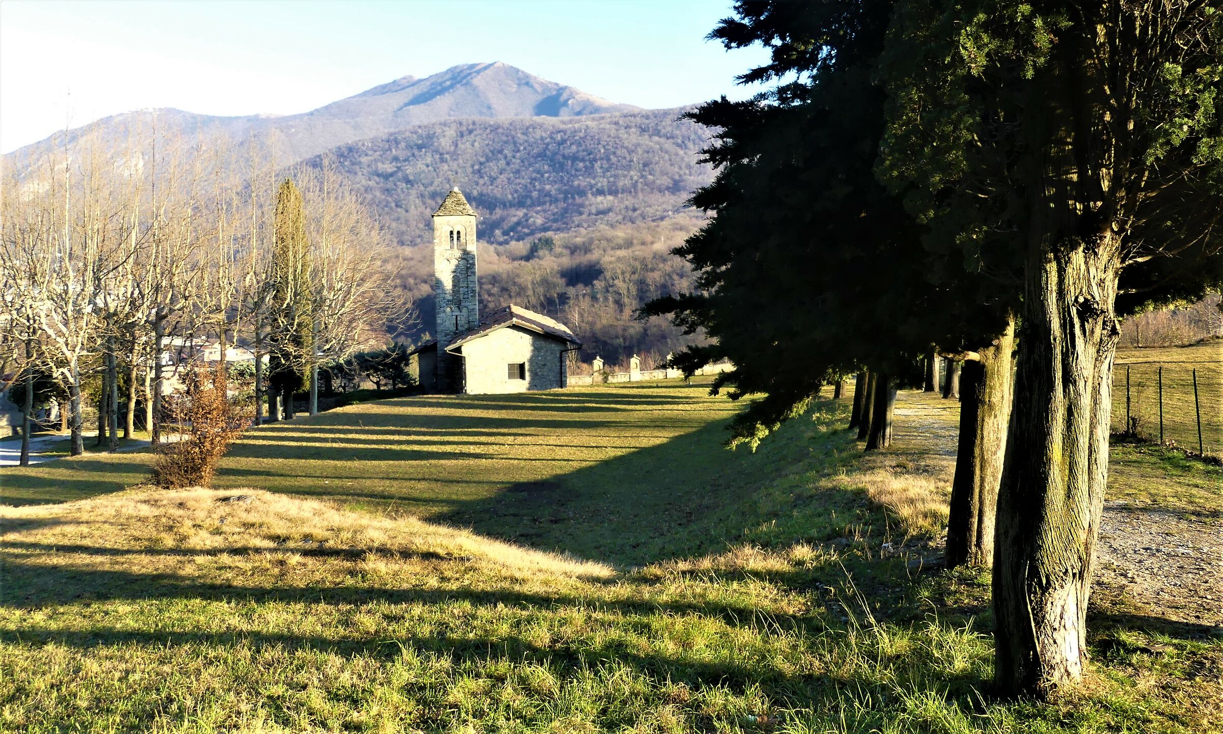 Grass Caslino S. Calocero