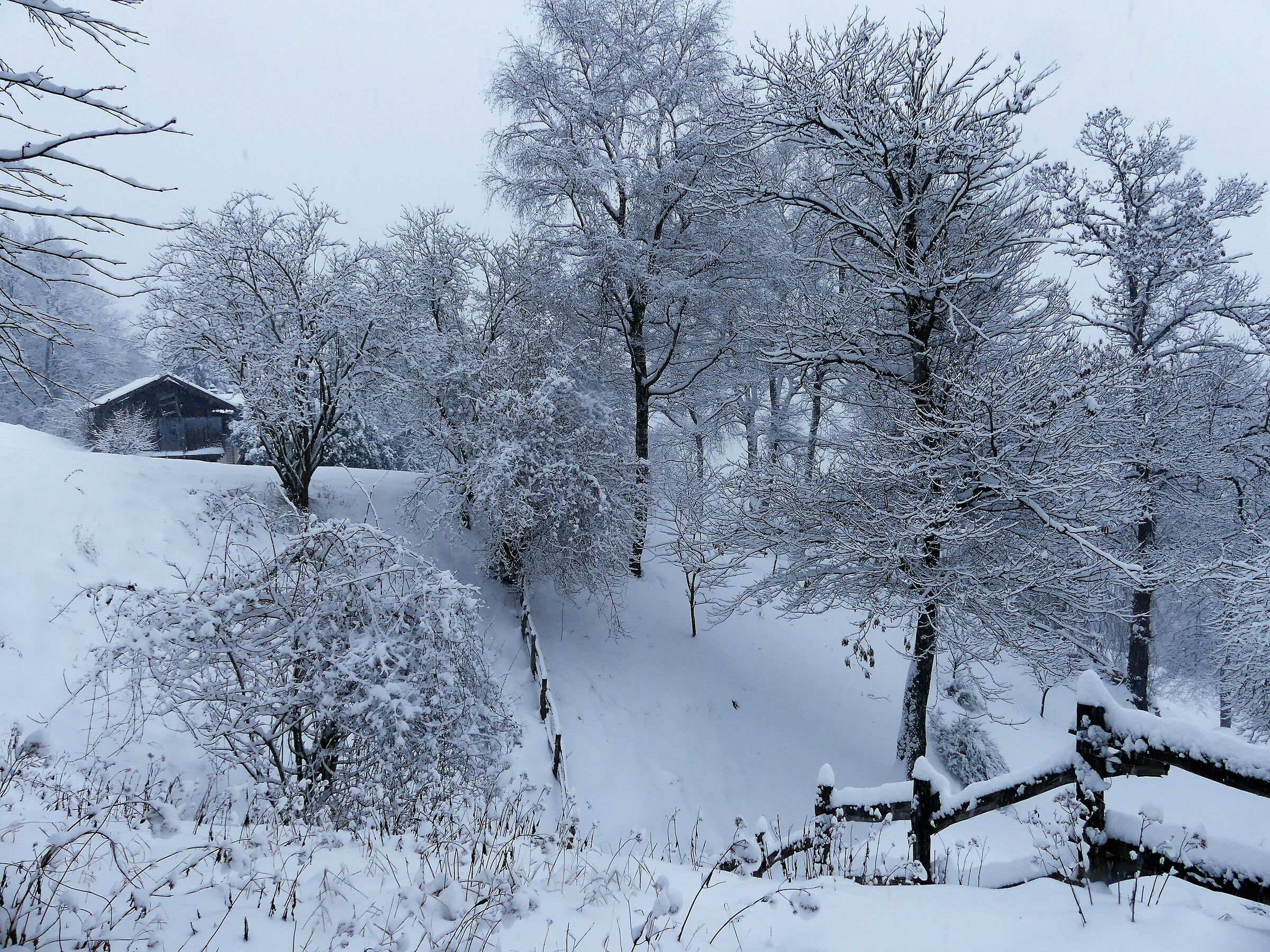 towards M. San Primo