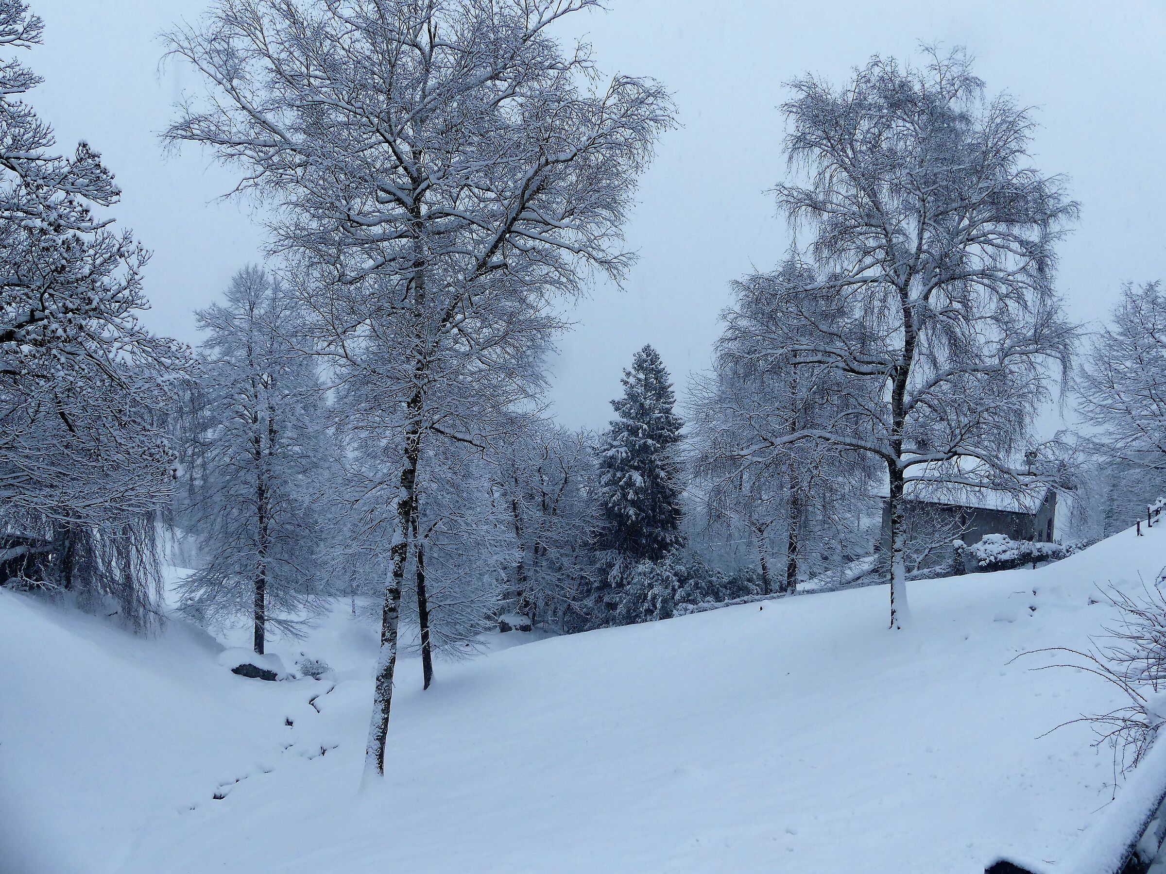 towards M. San Primo